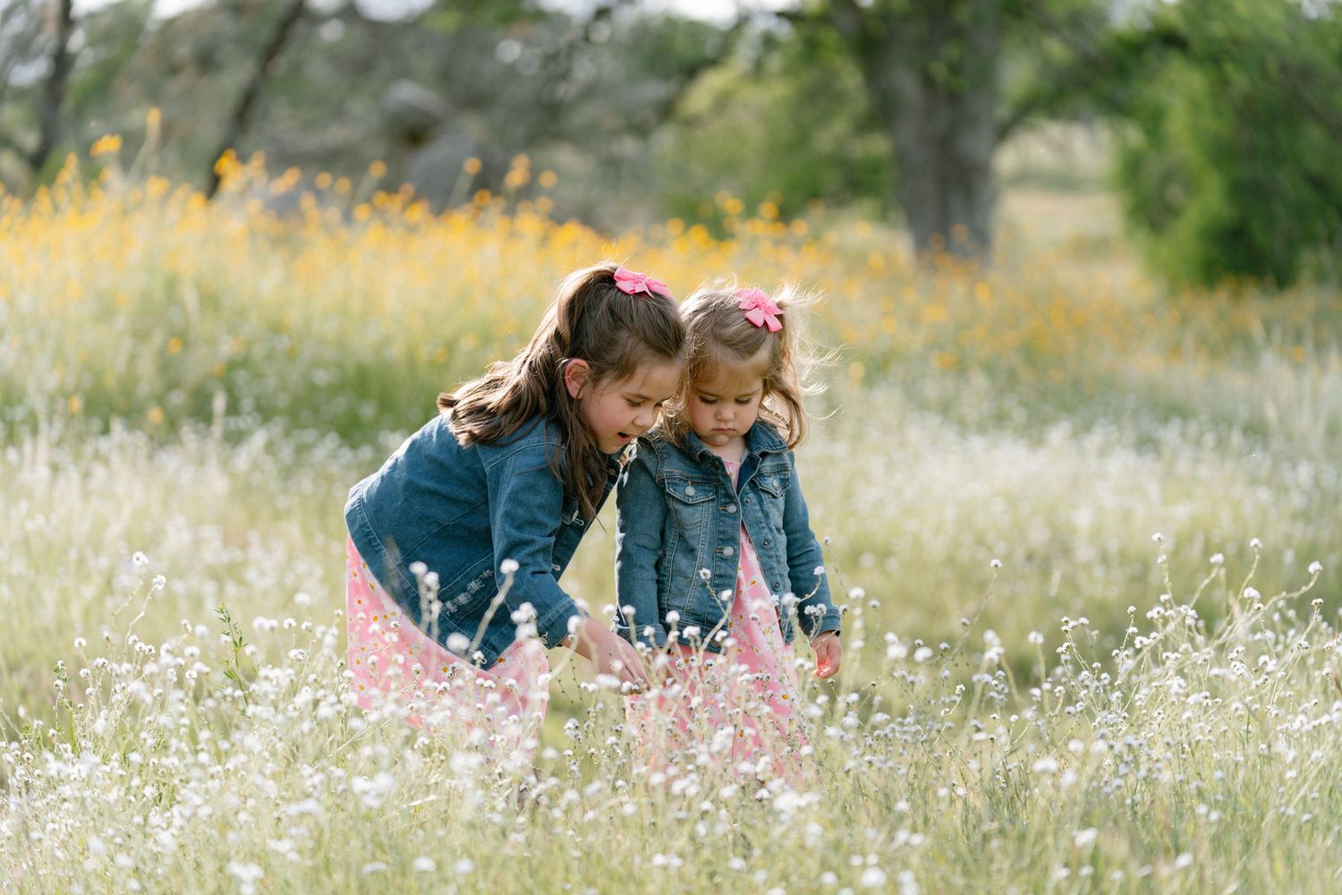 People enjoying a sunny day in a field of white wildflowers.