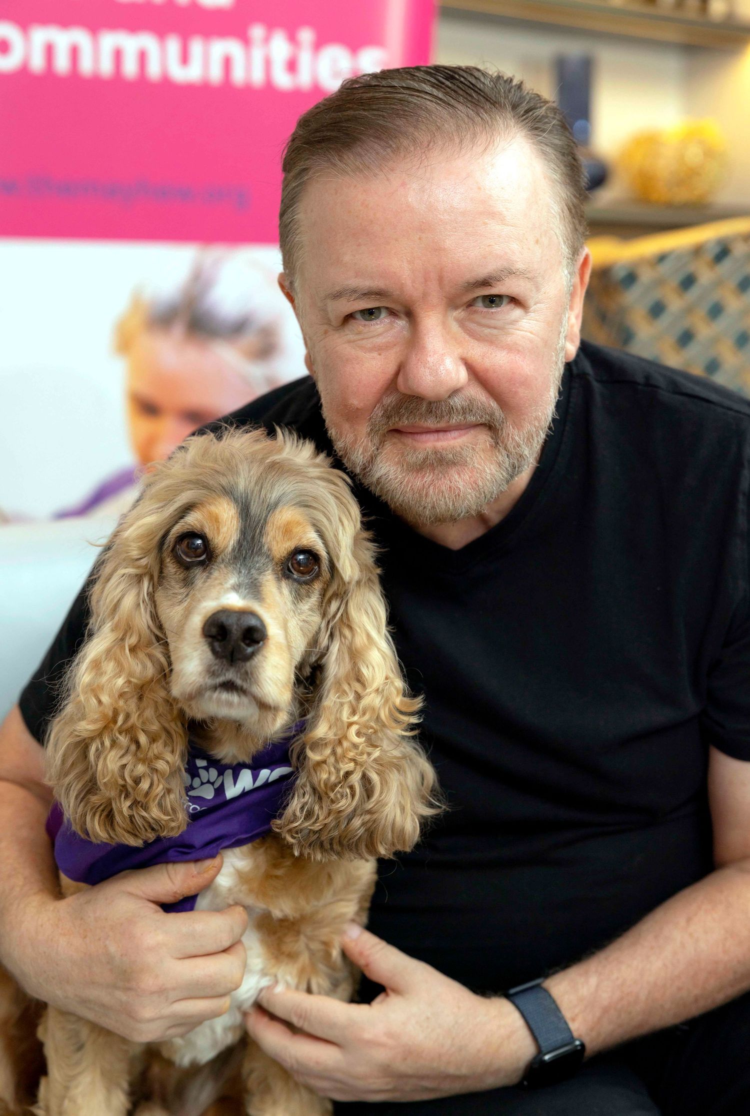 Person in black shirt posing with a cocker spaniel wearing purple collar. London Event Photographer