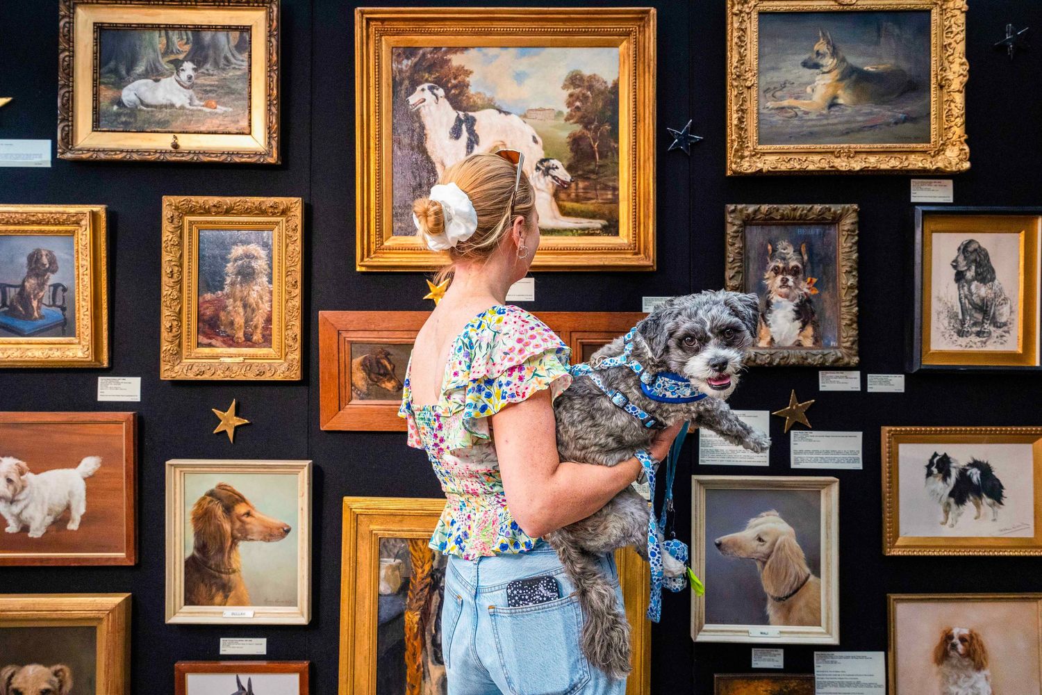 Gallery wall filled with framed pet portraits and artwork in ornate gold frames against dark background. London Event Photographer