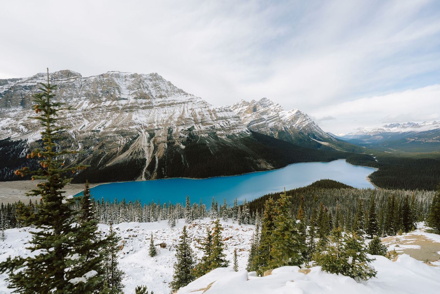 Stunning winter panorama of vivid blue Peyto Lake nestled among snow-covered Rocky Mountains in Banff.