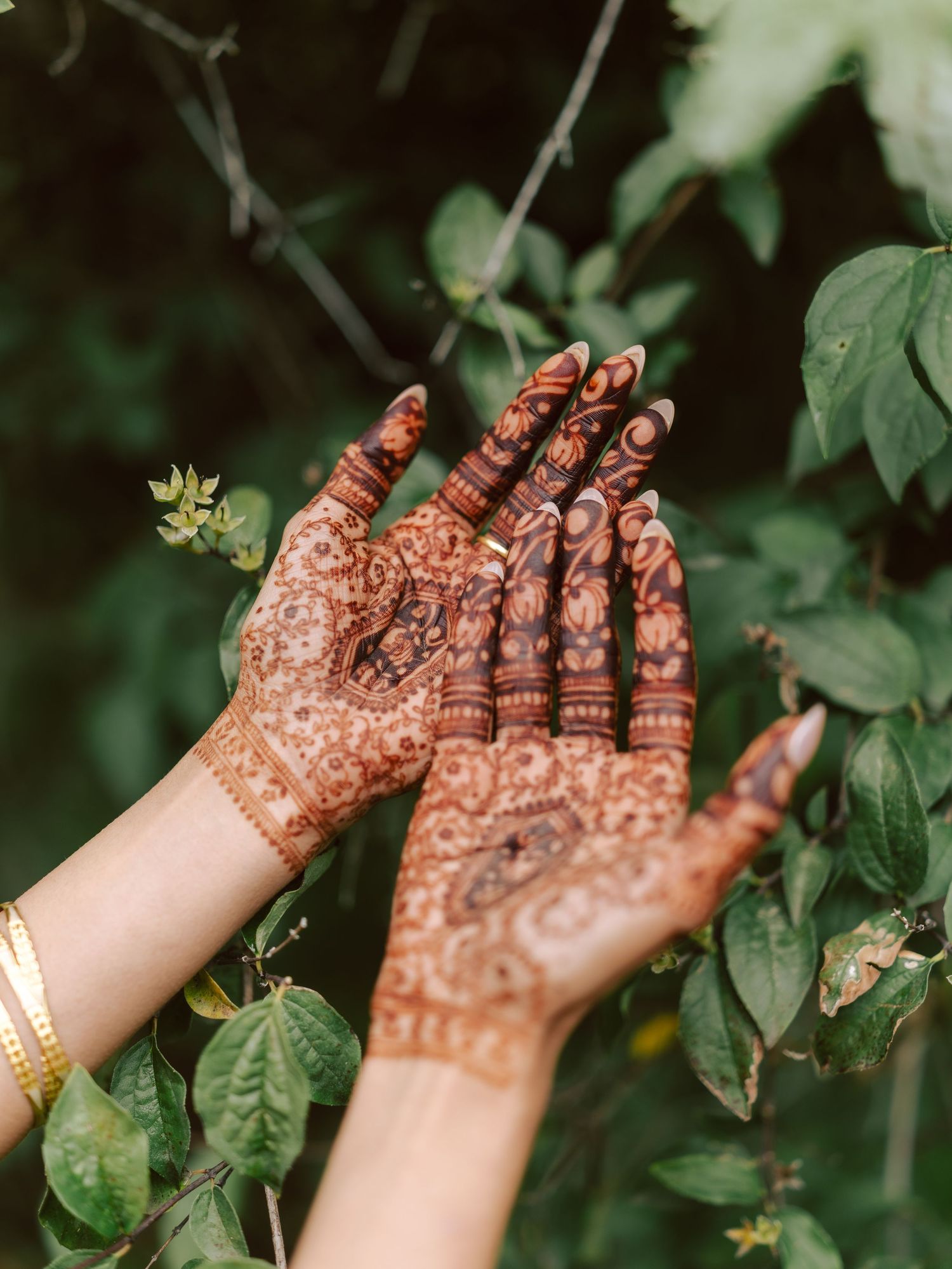 Close-up of intricate bridal mehndi henna designs on bride's hands against green foliage background.