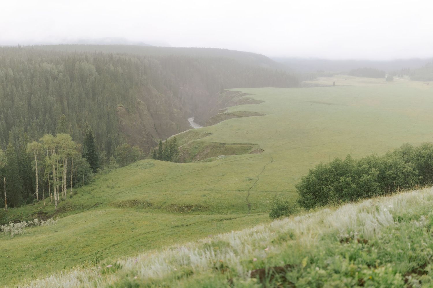 Aerial view of misty green valley with winding river and dense forest.