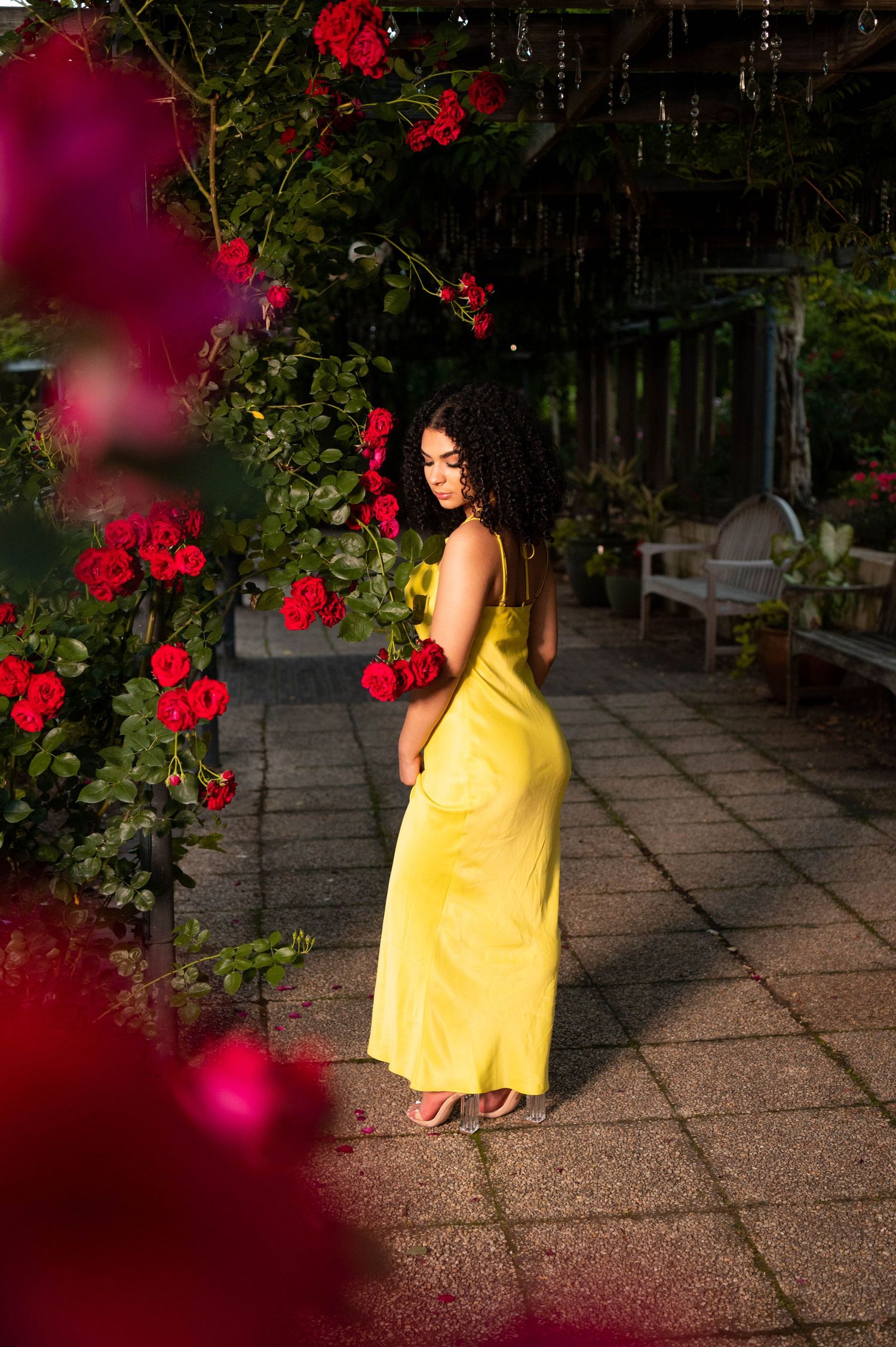 Elegant outdoor portrait in yellow dress among red flowers and garden pathways.