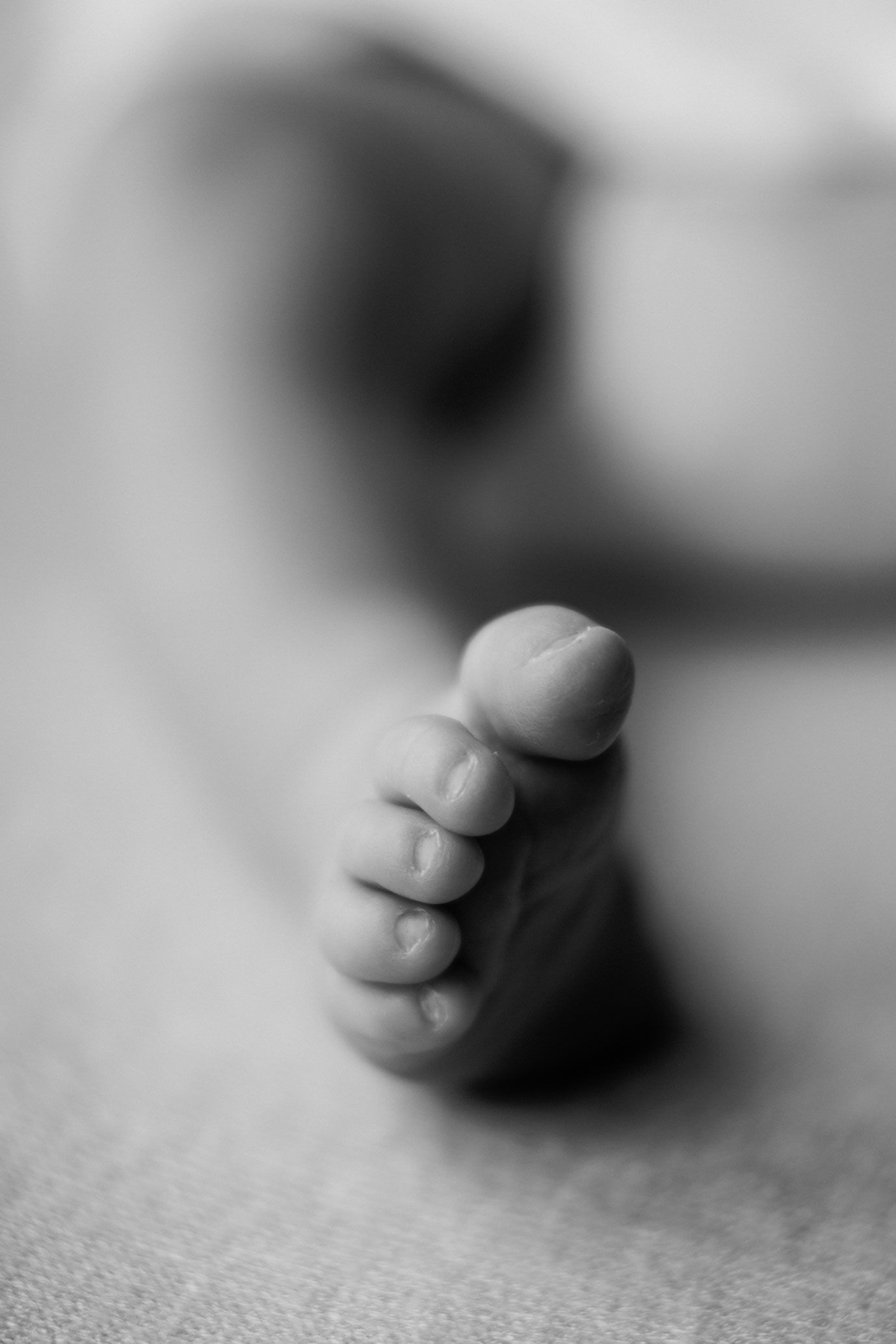 Macro black and white photo of a newborn baby's tiny toes and foot up close.
