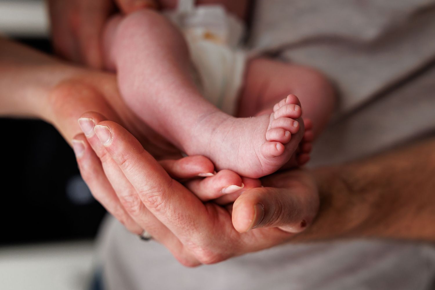 Adult hands gently cradling tiny newborn baby feet, showcasing the delicate size difference between parent and infant.