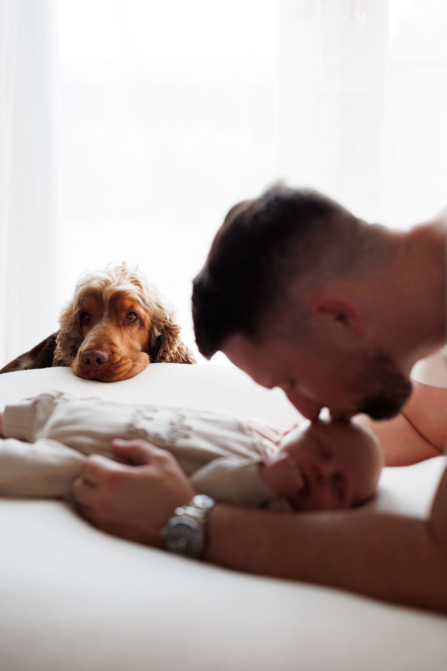 A father leans over a swaddled newborn baby on a white bed while a curious brown cocker spaniel rests its chin on the mattress nearby.