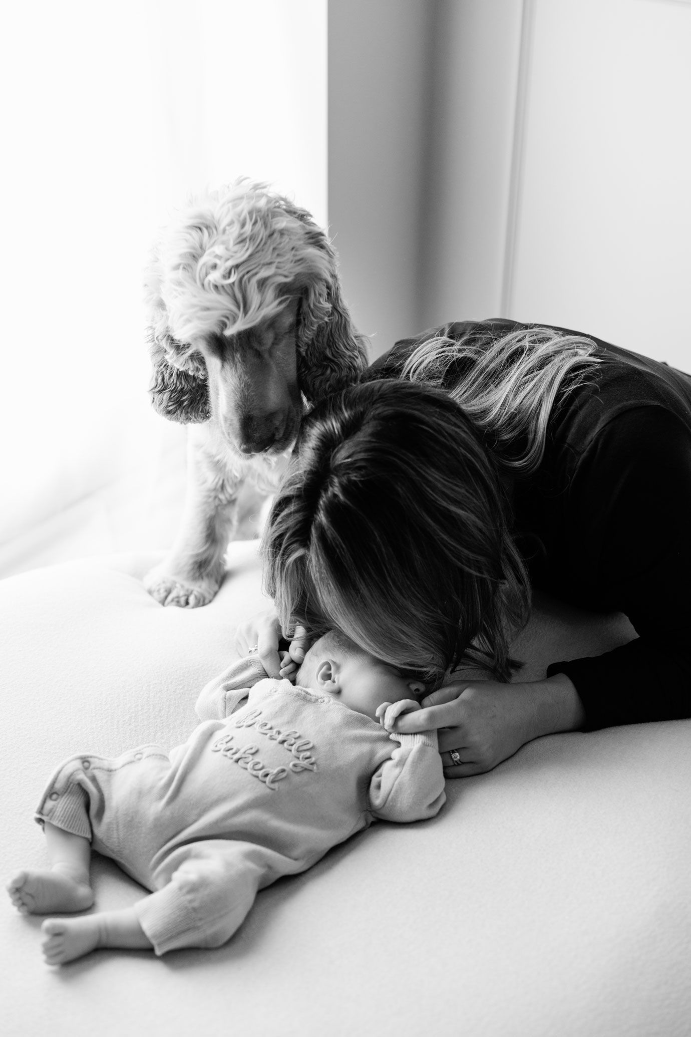 Black and white photo of a mother kissing her newborn baby on a bed while a curious cocker spaniel looks on.