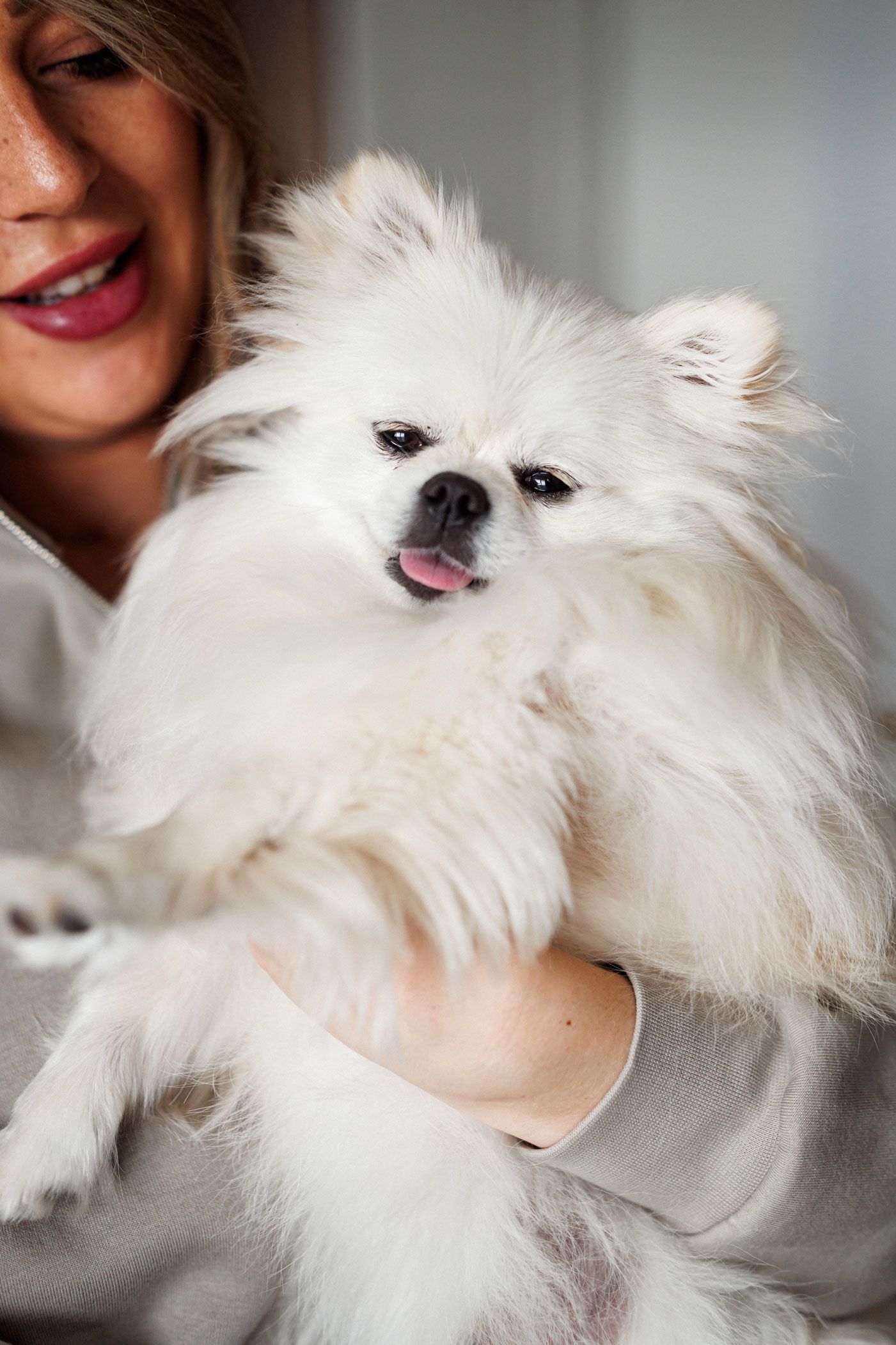 Woman in a grey sweatshirt holding a fluffy white Pomeranian dog with its tongue out.