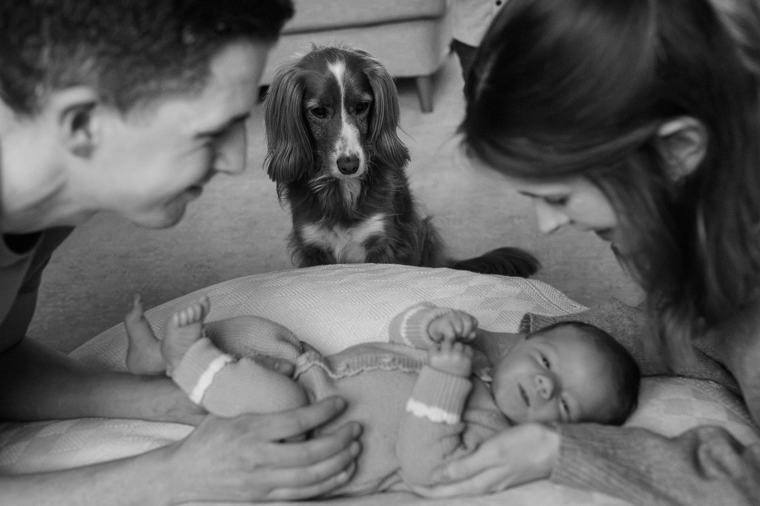 Black and white photo of parents and their Cocker Spaniel dog gathered around their sleeping newborn baby.