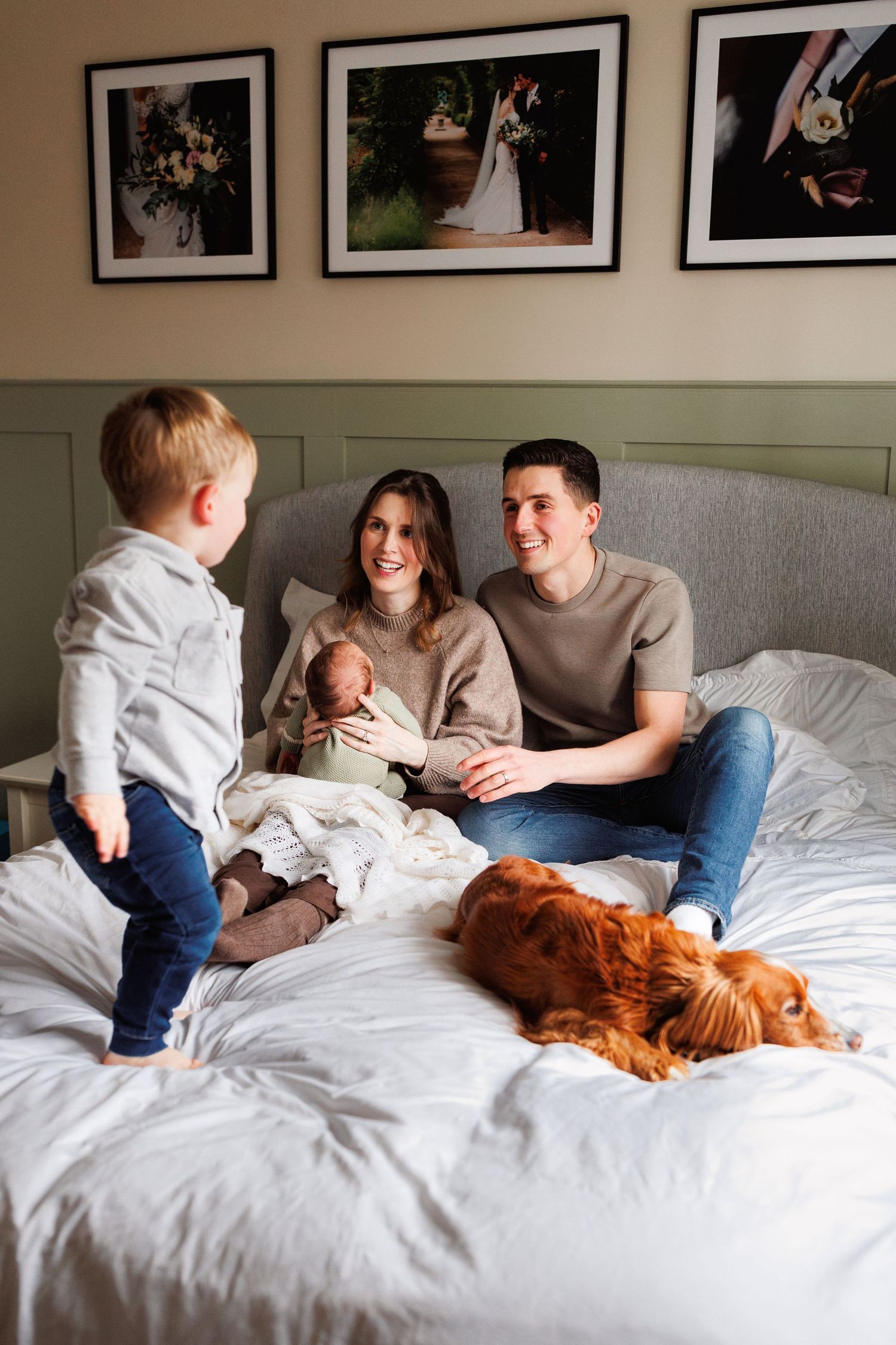 A happy family with a toddler, newborn baby, and Cocker Spaniel dog sit together on a white bed.