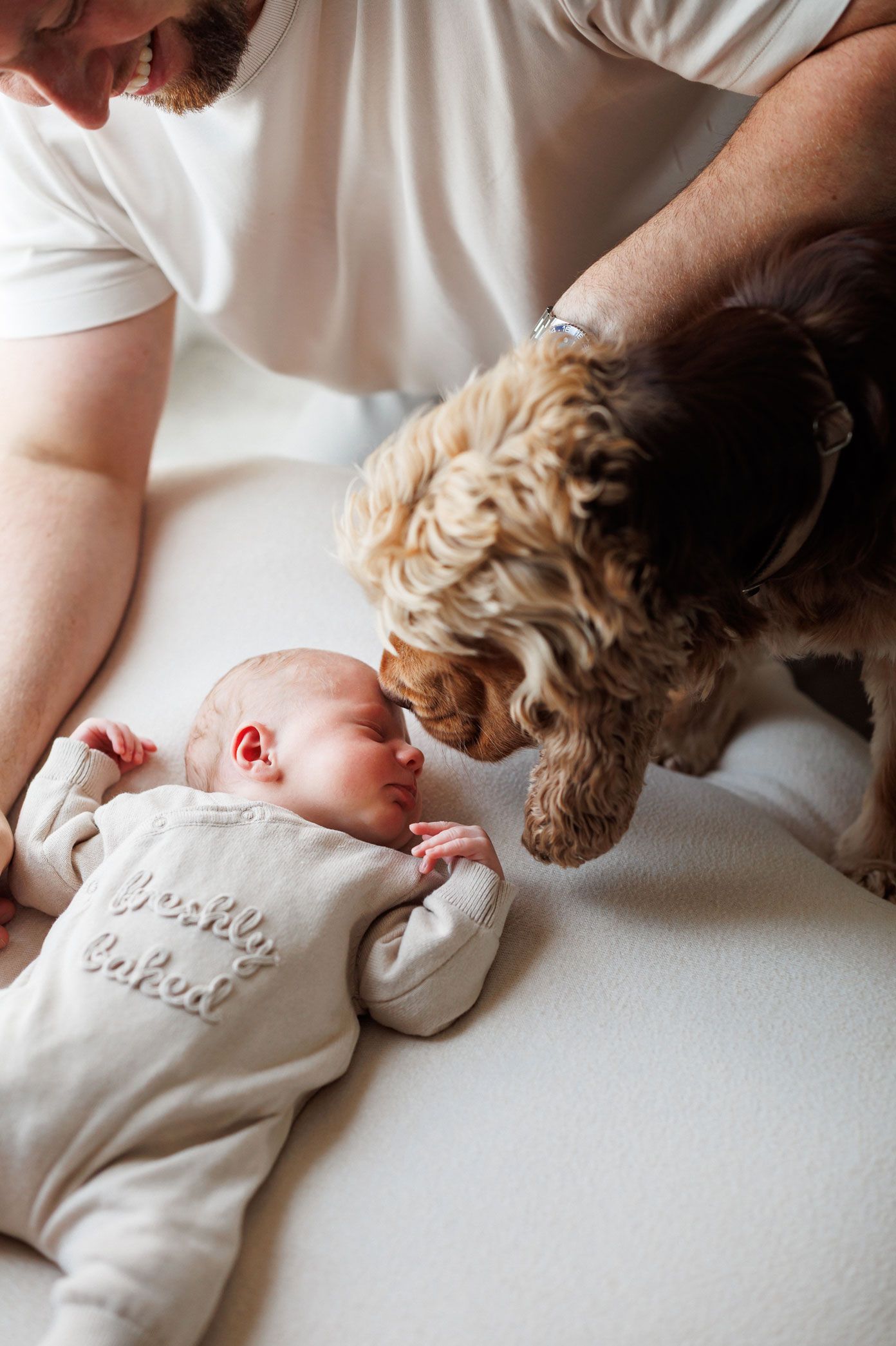 Curly-coated brown dog gently sniffing a sleeping newborn baby in a cream onesie while a smiling dad leans over them.