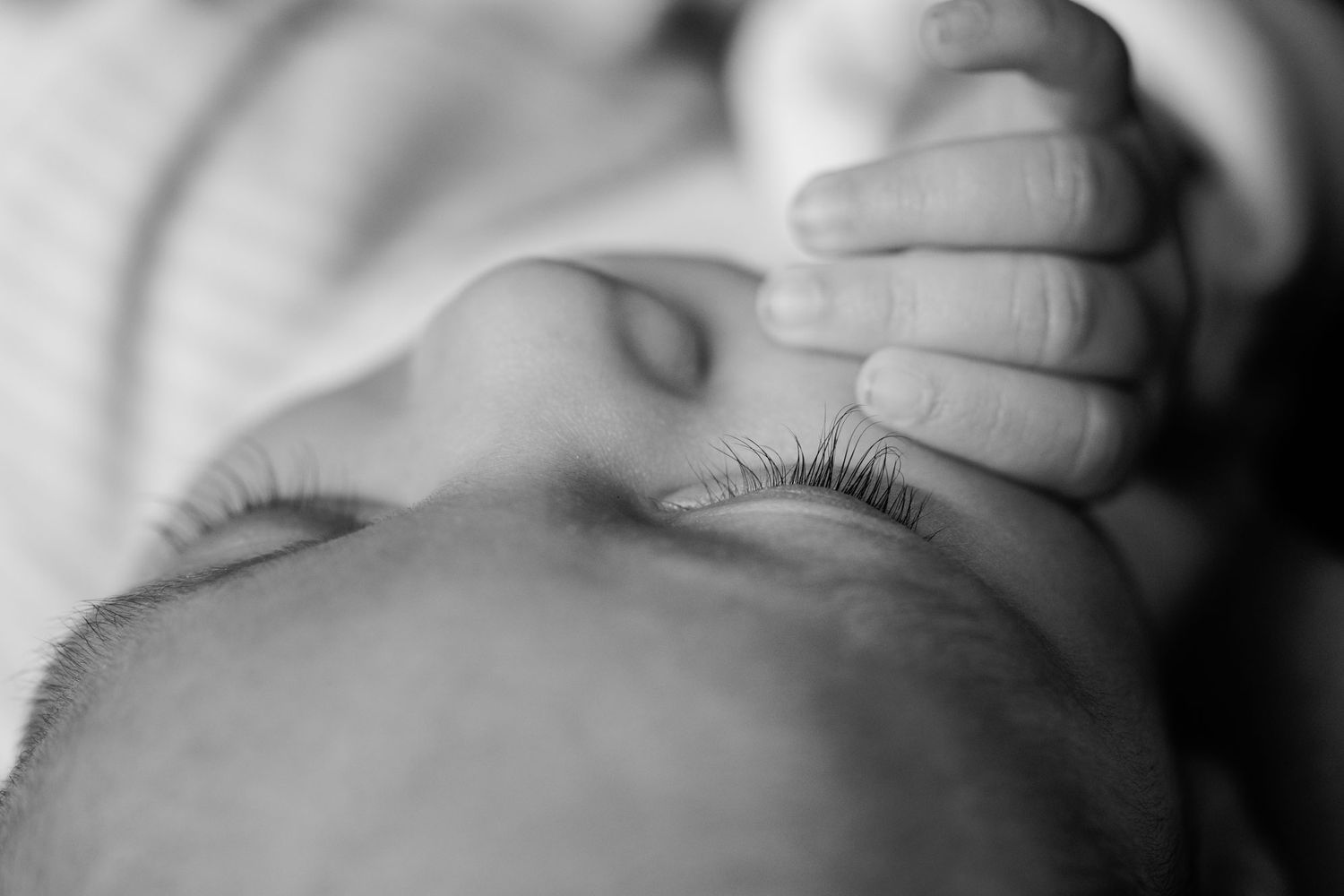 Black and white close-up of a sleeping newborns delicate eyelashes and tiny hand.