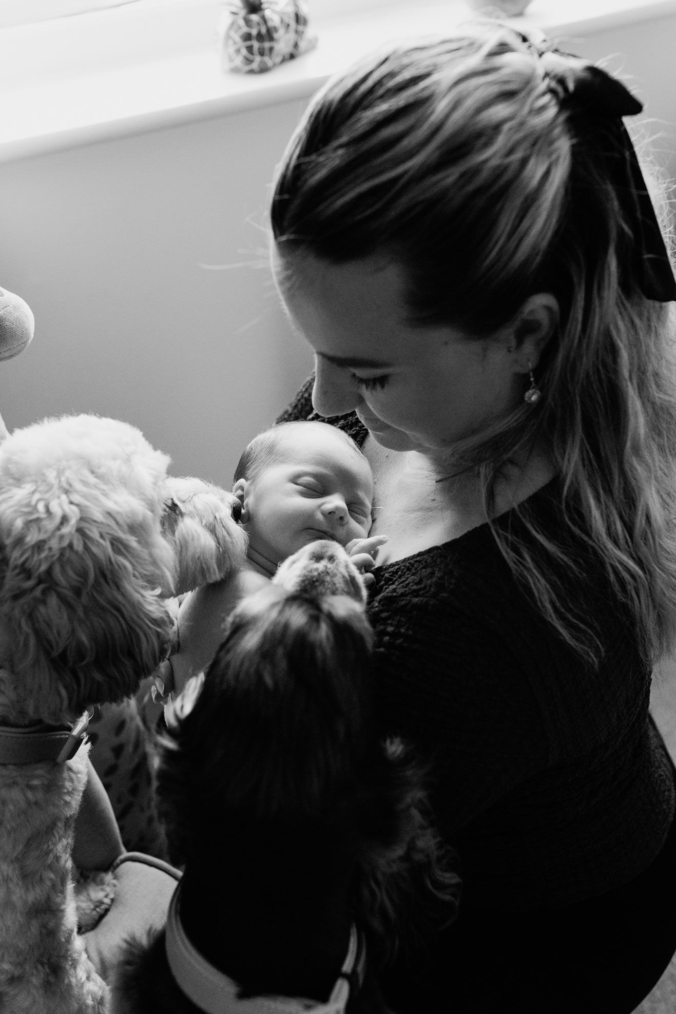 At Home Newborn Photography Swadlincote