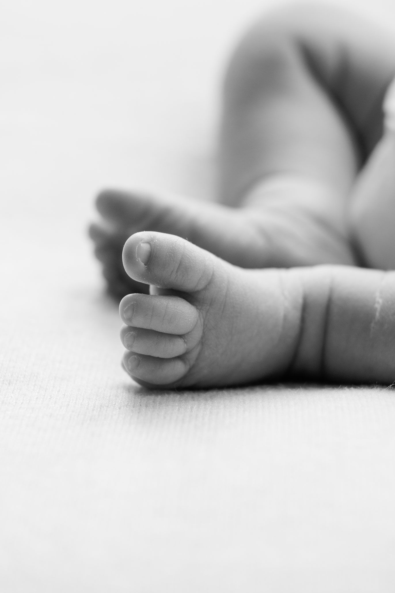 Black and white close-up of a newborn baby's tiny feet resting on a soft surface.