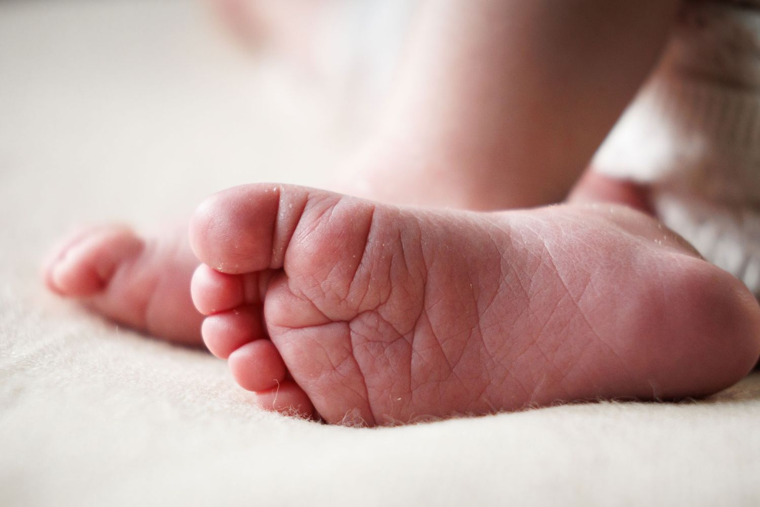Close-up macro shot of soft newborn baby feet soles on a white fluffy blanket.