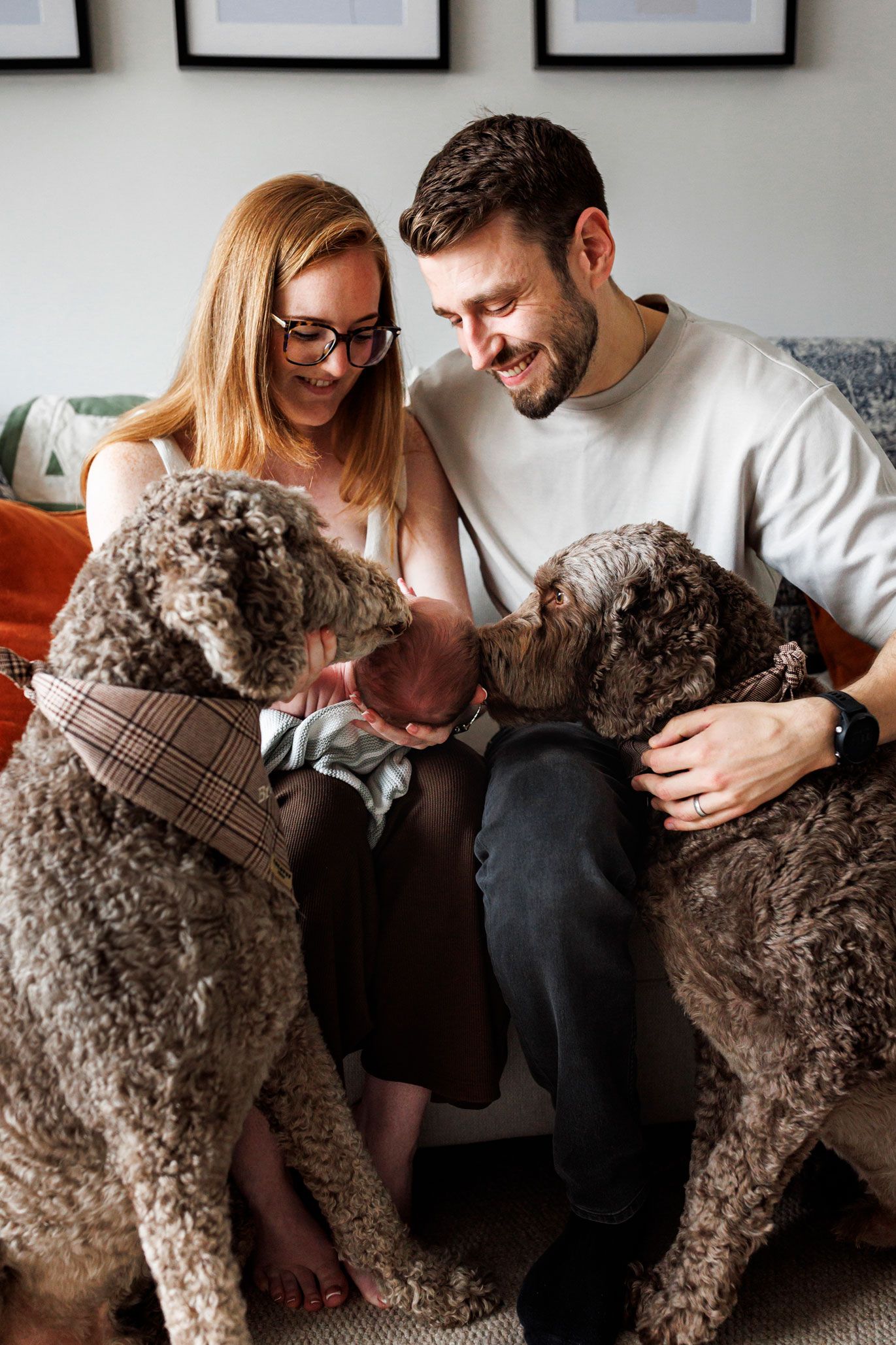Family dogs gently meeting a newborn baby during an at-home newborn photography session.