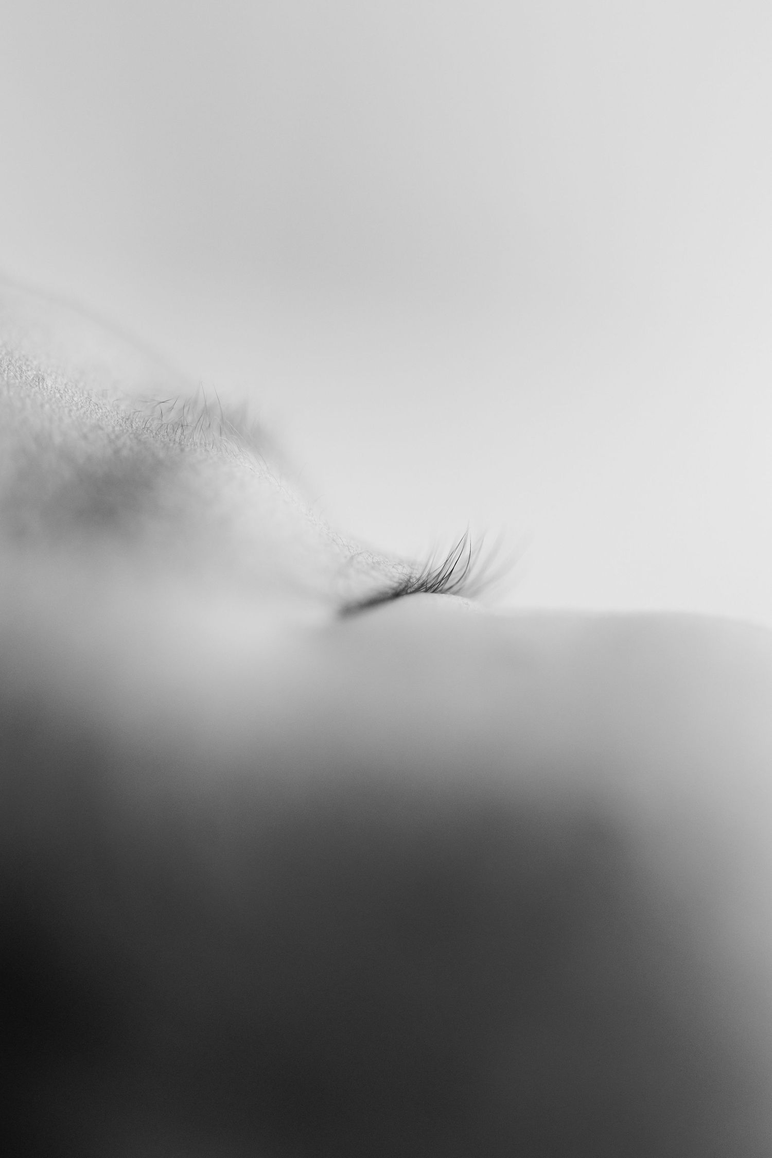 Black and white macro close-up of a sleeping baby's closed eye with delicate lashes and soft, blurred skin in a minimalist style.