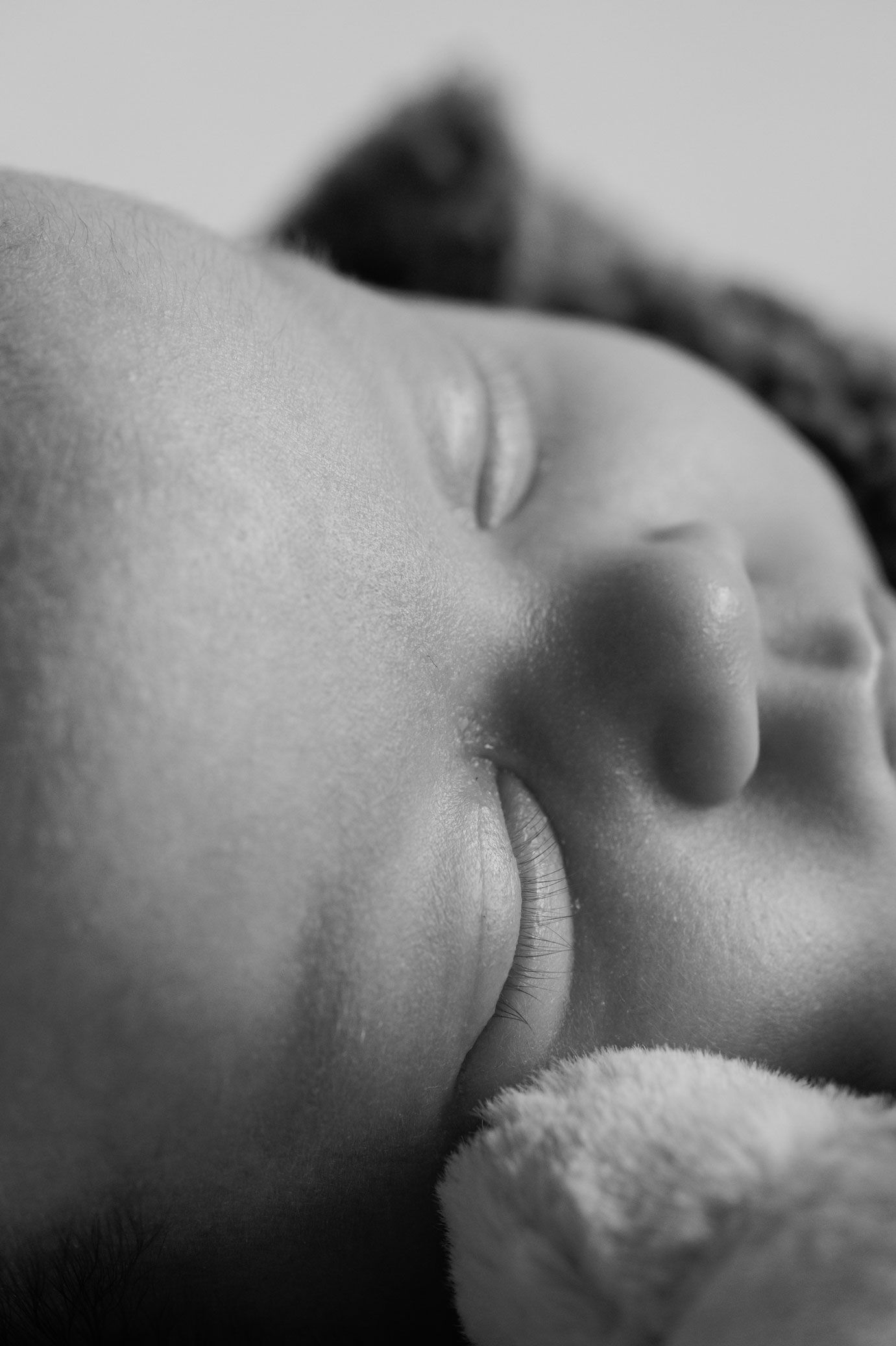 Black and white close-up of a sleeping newborn baby's peaceful face resting beside a soft plush toy.