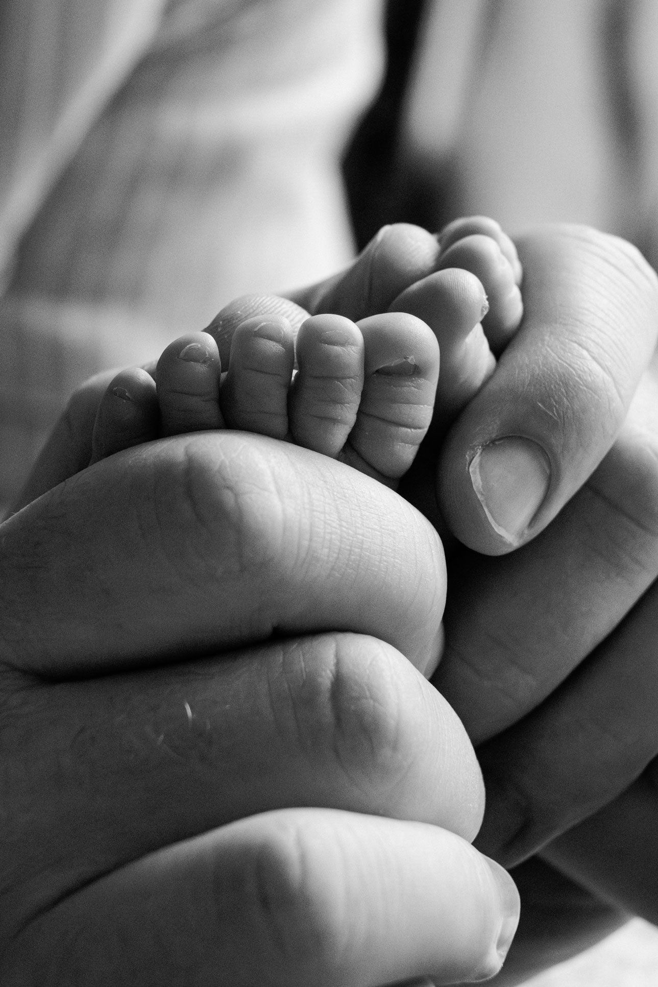 Black and white close-up of a parent's hands gently cradling a newborn baby's tiny feet in their Nottingham Newborn Session