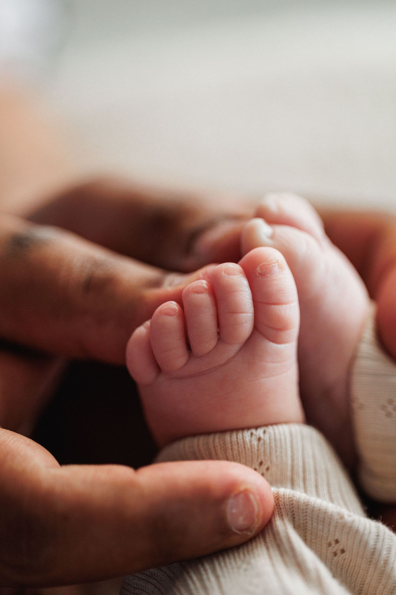 Close-up of a newborn baby's tiny feet held gently in an adult's hands.