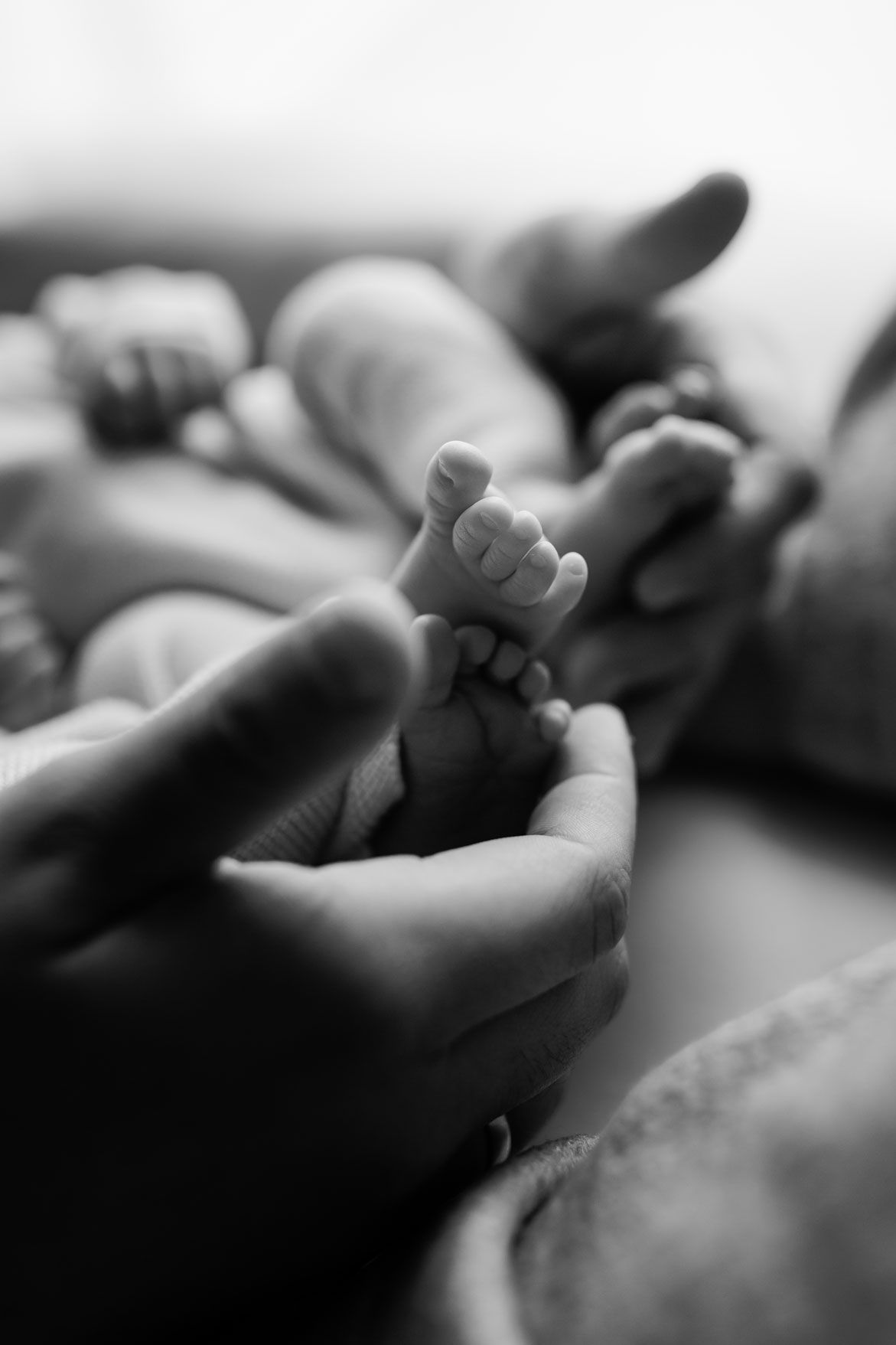 Black and white close-up of a parent's hands gently cradling a newborn baby's tiny feet.