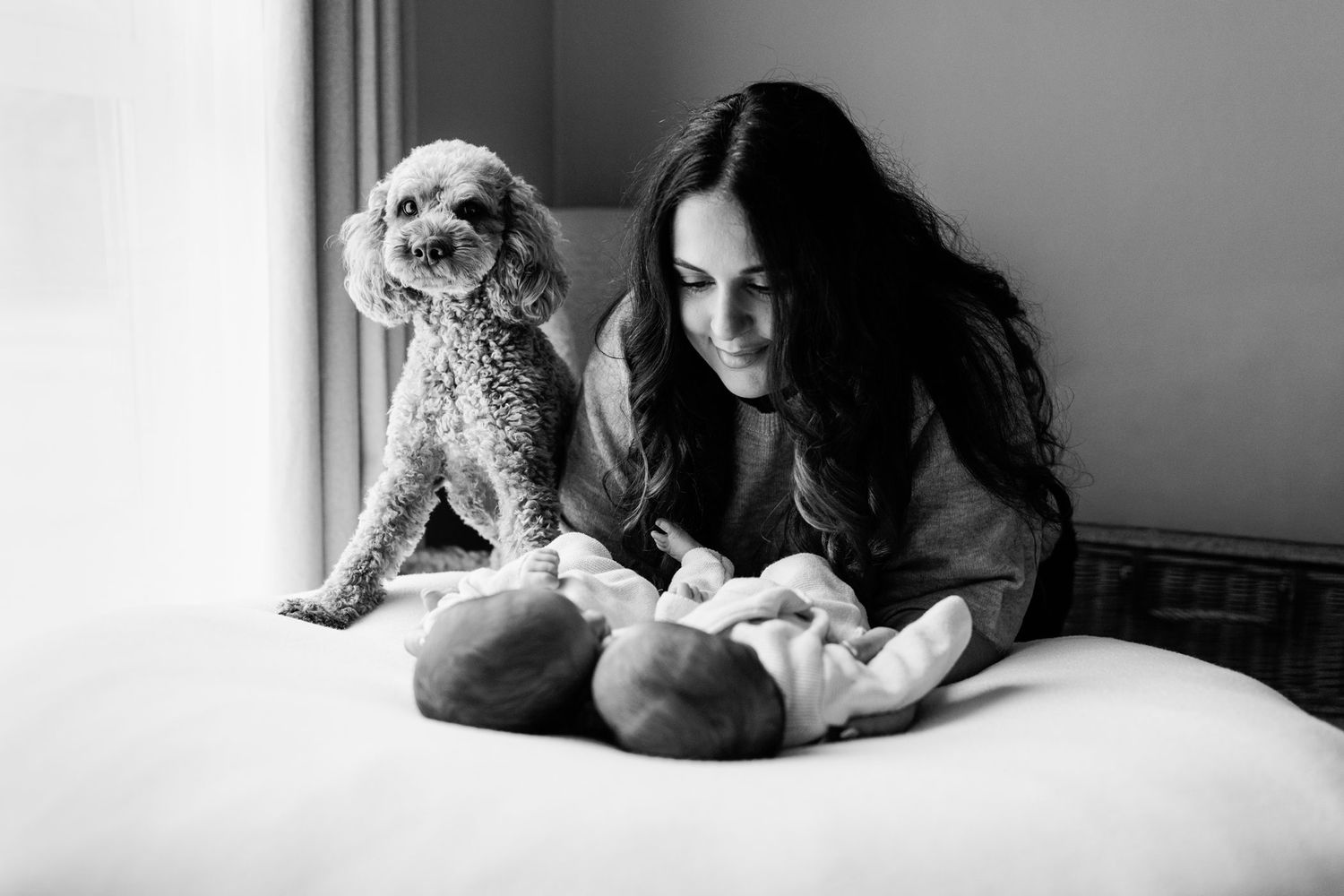 Black and white photo of a smiling mother with long dark hair gazing at her newborn baby on a bed while a fluffy poodle looks on.