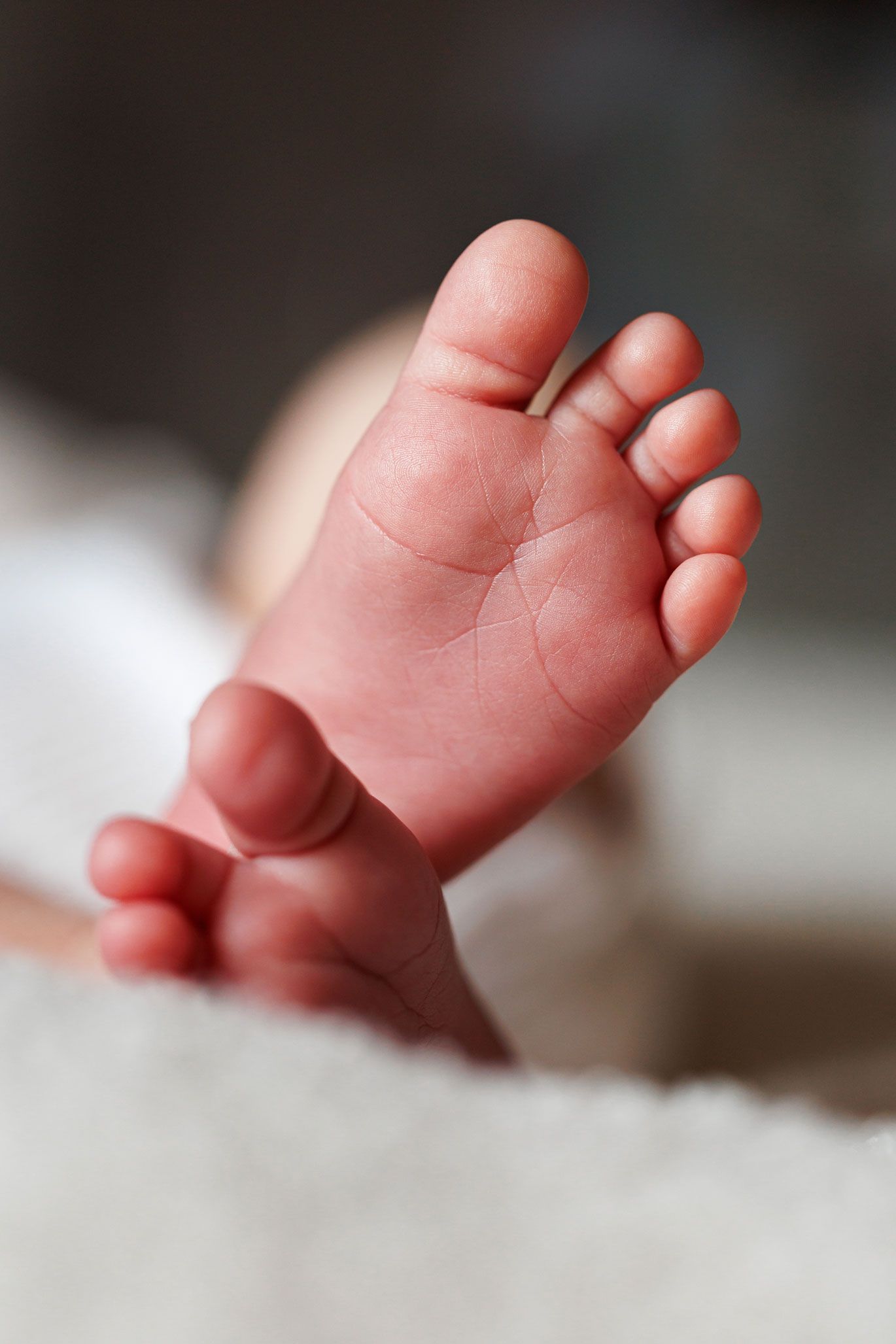 At Home Newborn Photography Swadlincote