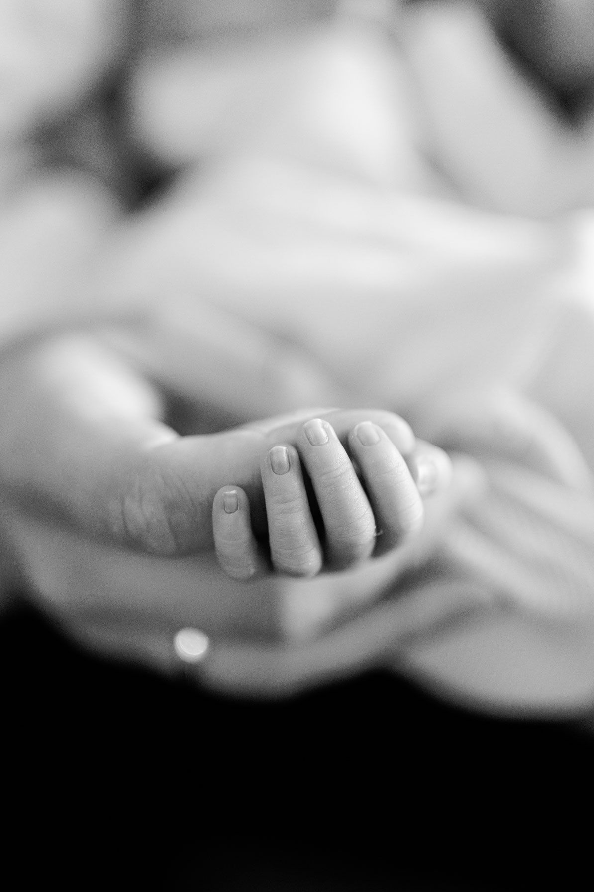 Black and white close-up of a newborn baby's tiny hand with delicate fingers resting gently in an adult's cupped palm.