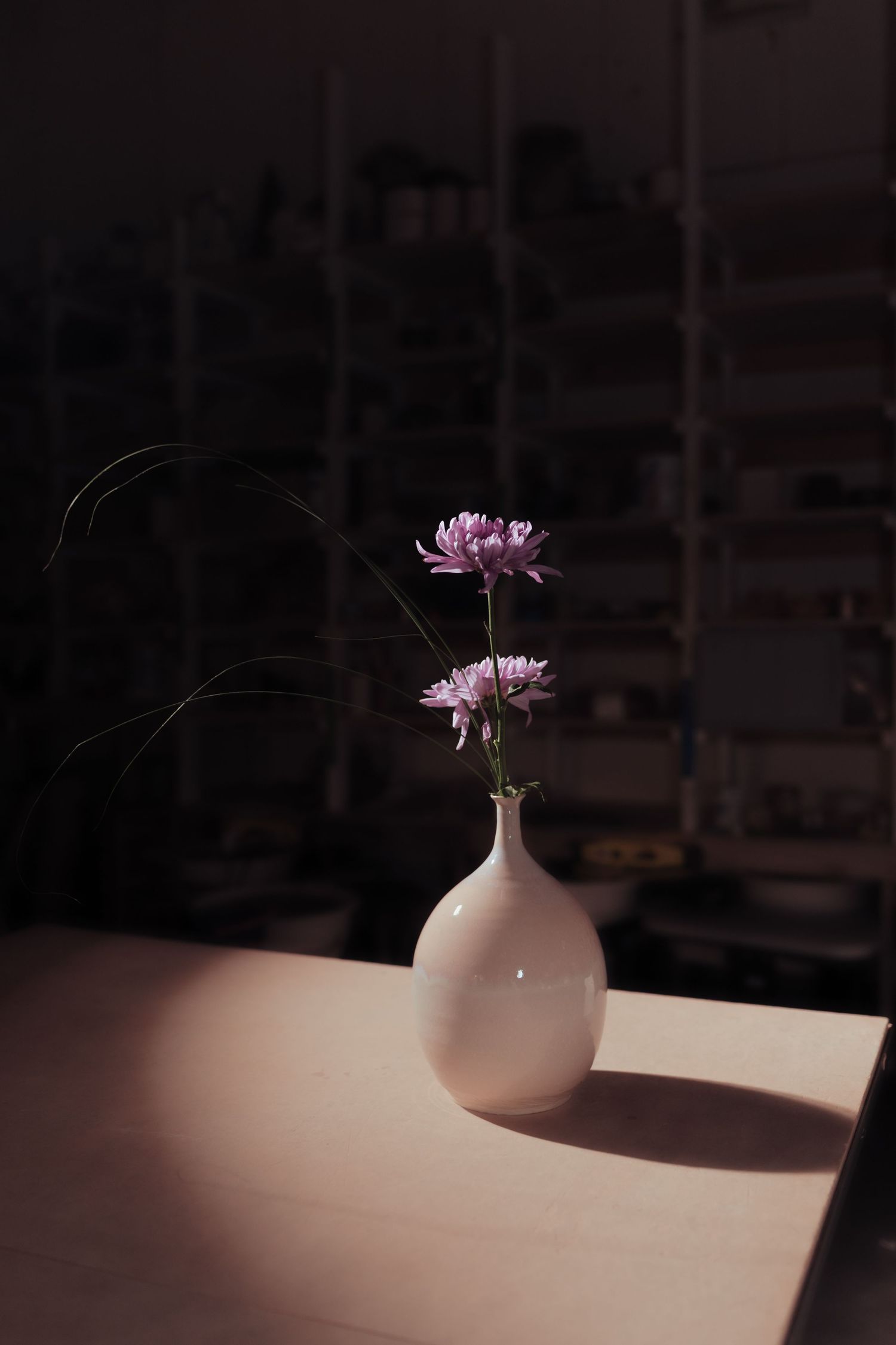 Elegant white ceramic bud vase holding two purple chrysanthemums with grass stem in dark pottery studio.