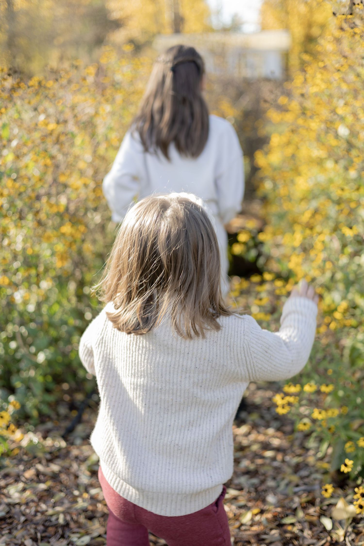 Two children in white sweaters walk through a colorful autumn garden path surrounded by yellow fall foliage.
