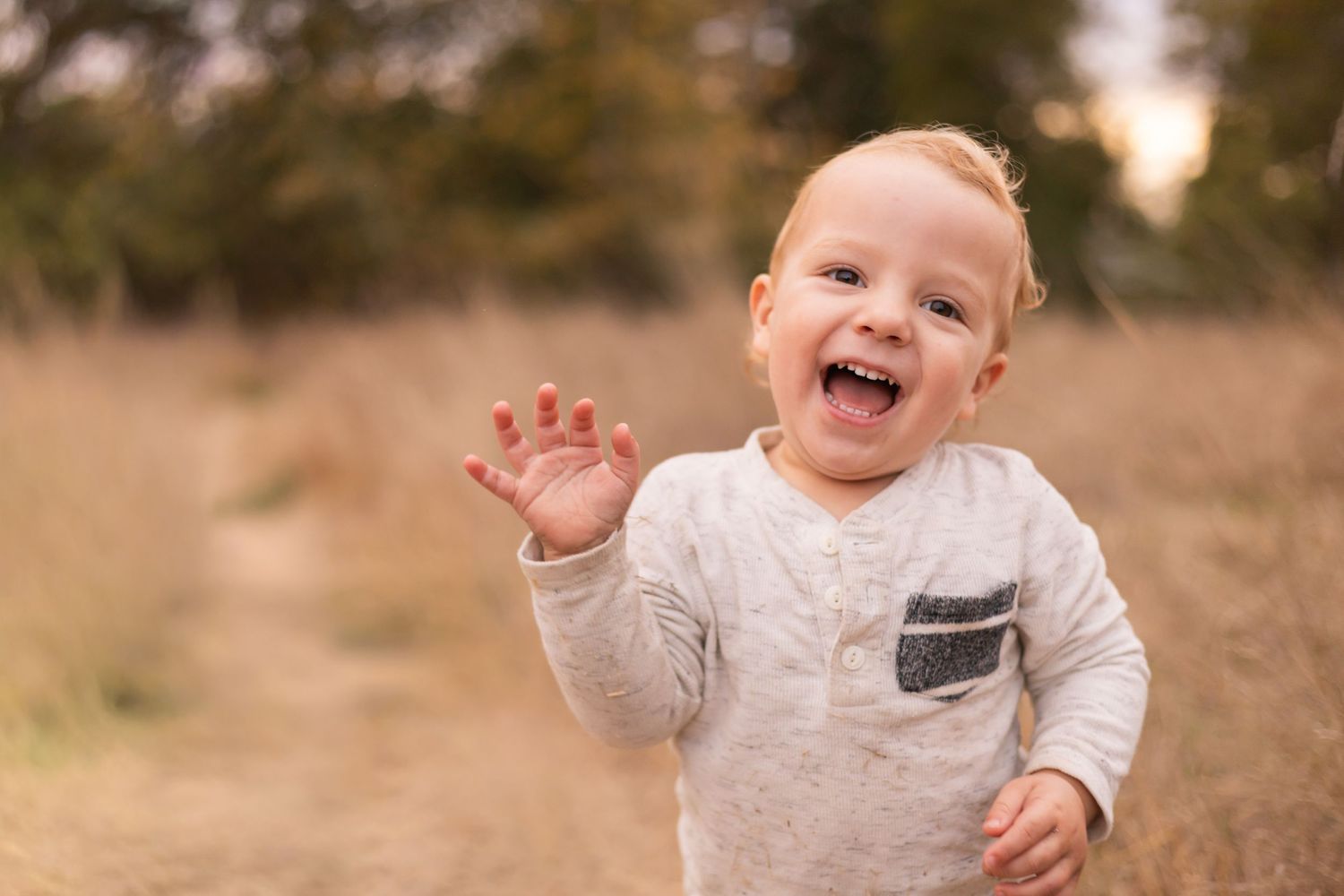 A happy toddler boy waving and smiling in a sunlit field with golden grass in the background.