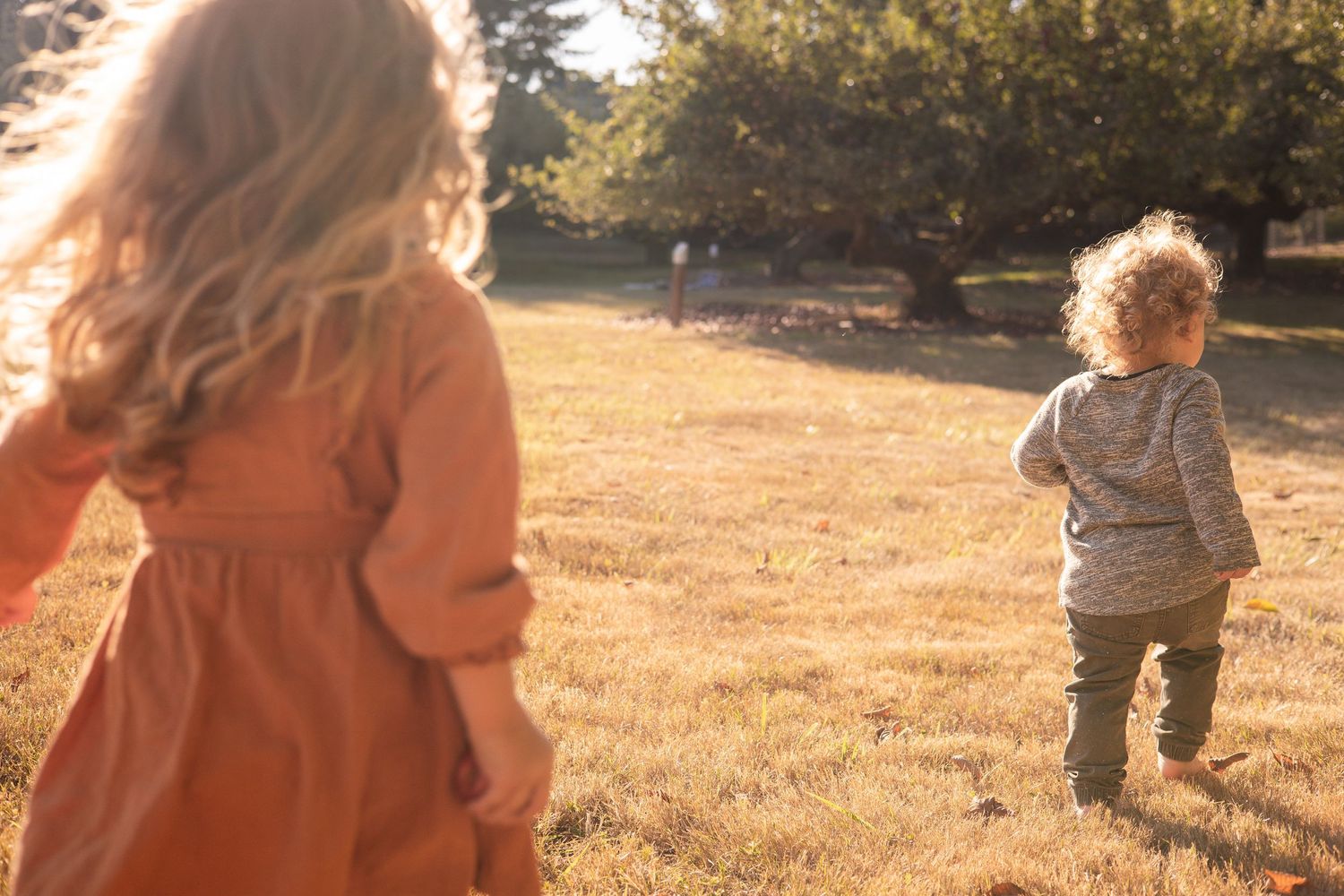 Two people walking in a golden sunlit field during sunset with warm autumn light filtering through trees.