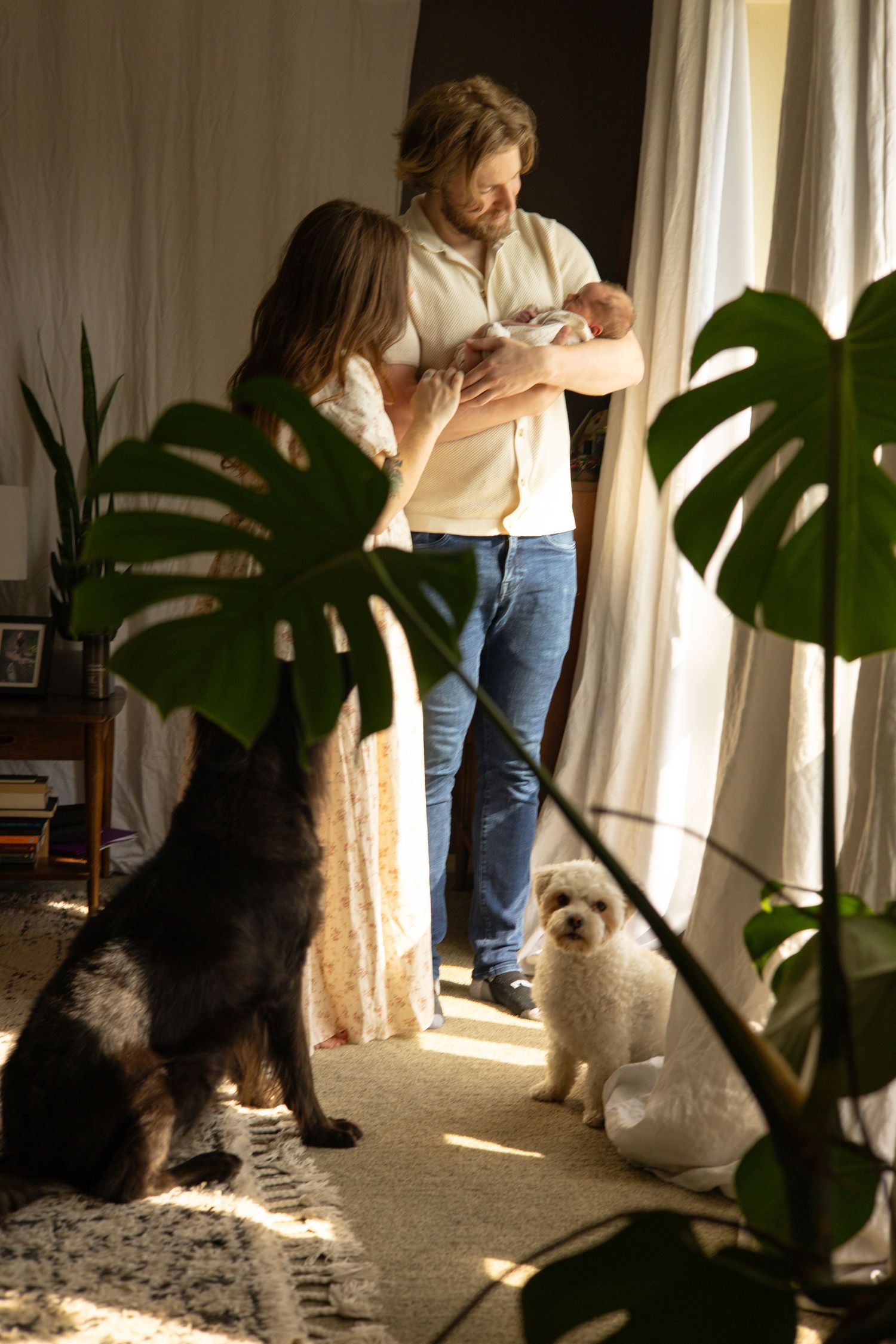Couple holding newborn by window with dogs and plants — cinematic lifestyle family photography in Tacoma, Puyallup, South Sound WA