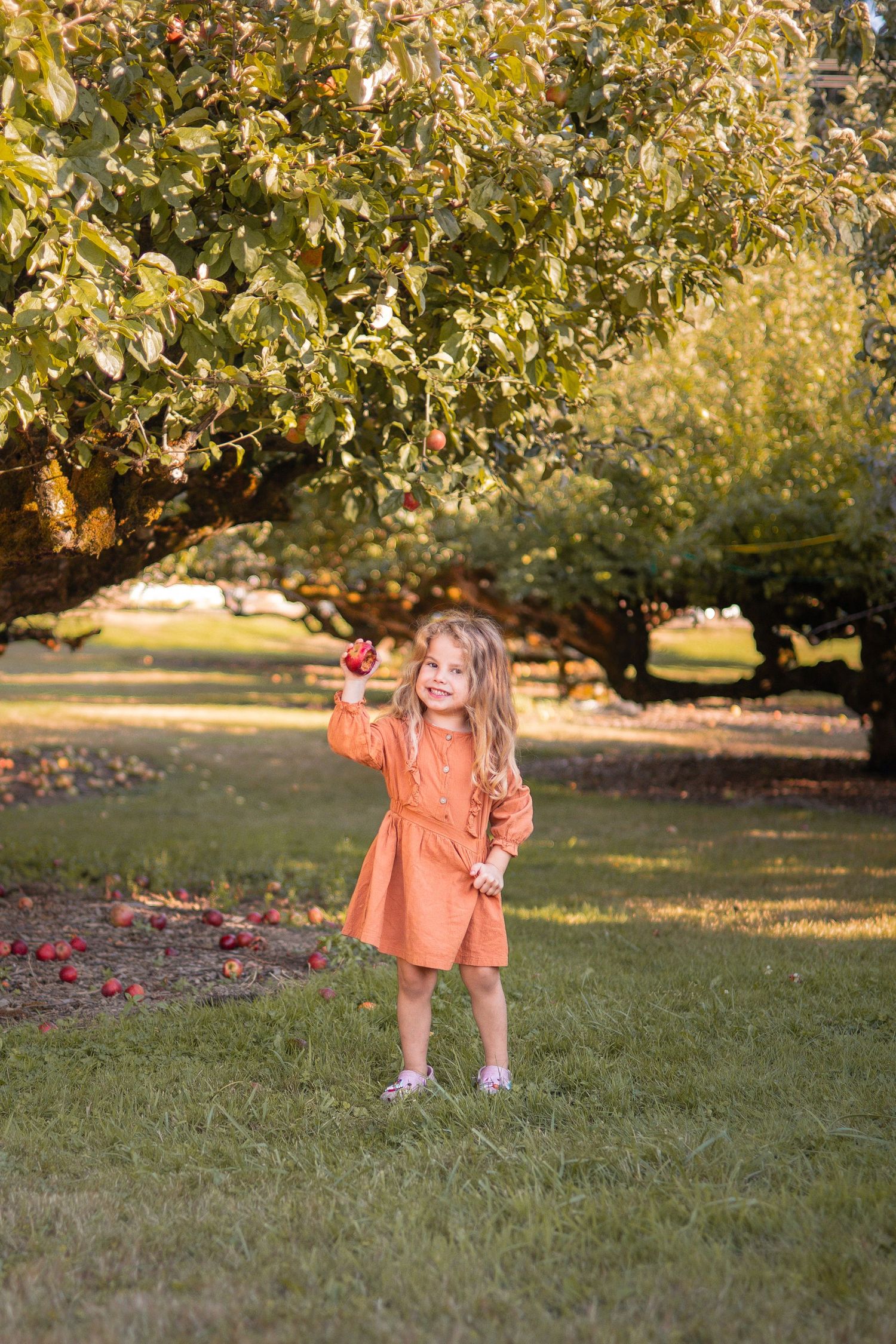 Fall Mini Session Jess DAgati Creative local photographer University Place Tacoma Gig Harbor Puyallup WA newborn maternity family lifestyle