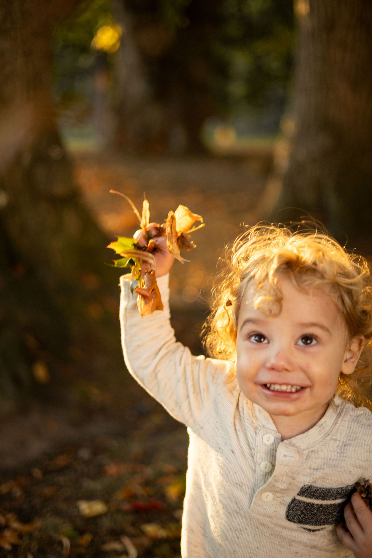 A small child in a white sweater plays with autumn leaves while backlit by golden sunlight in a forest setting.