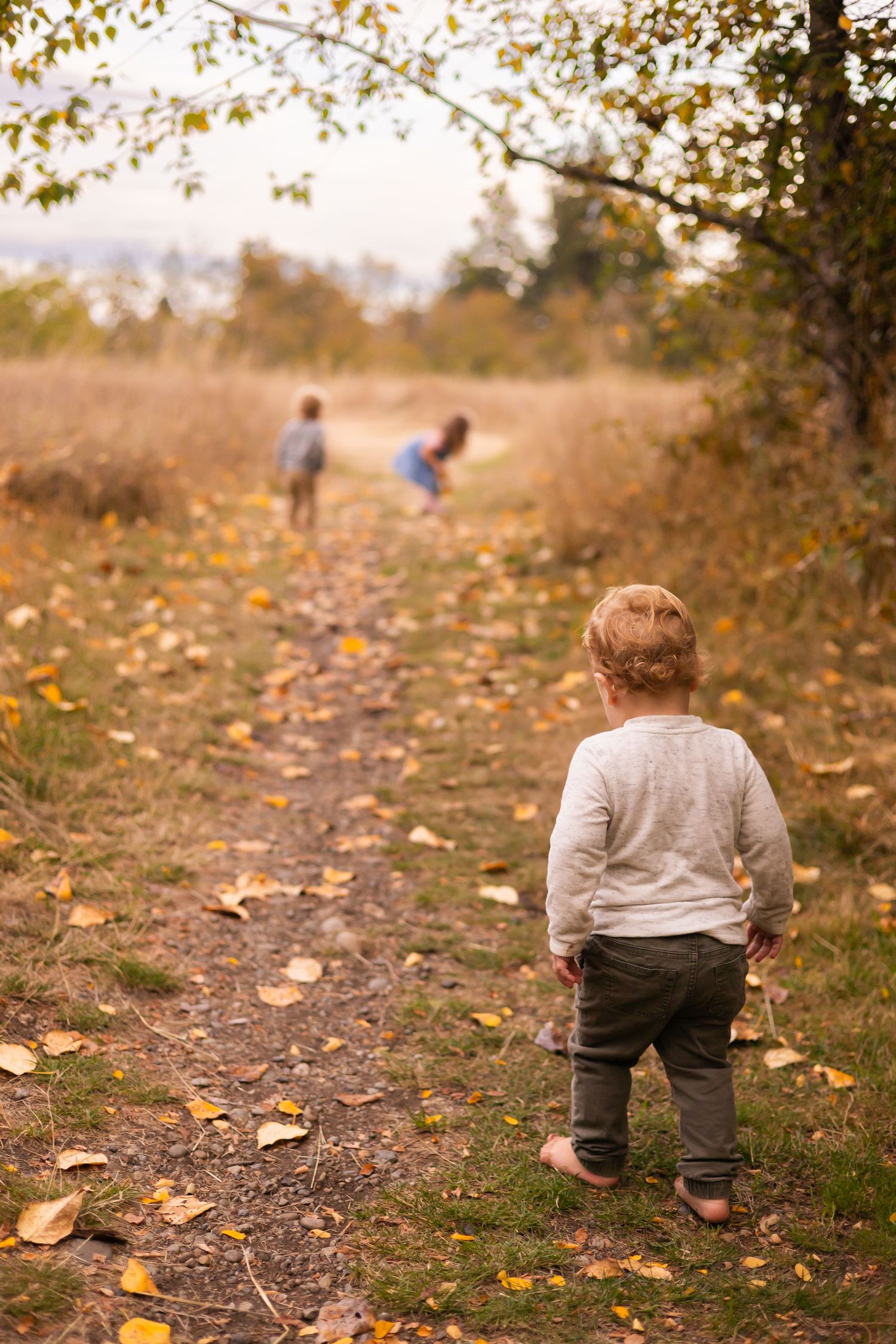 Small child wearing grey clothing sits on ground surrounded by fallen autumn leaves in a wooded area.