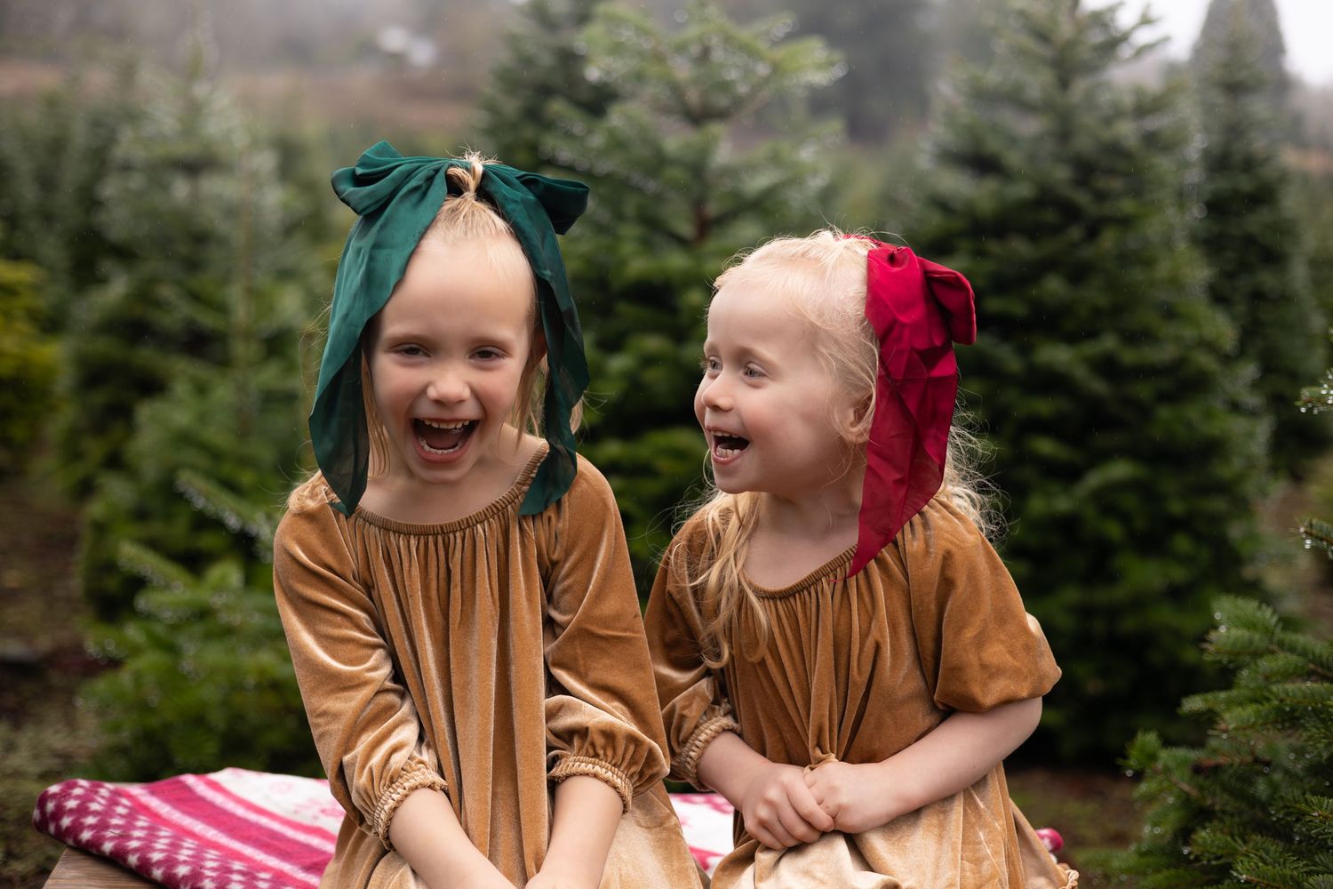 Family in matching outfits laughing and having fun together during a holiday photoshoot at a Christmas tree farm.
