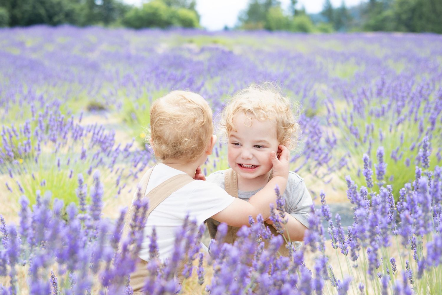 Children playing and laughing in a vibrant purple lavender field on a sunny day.