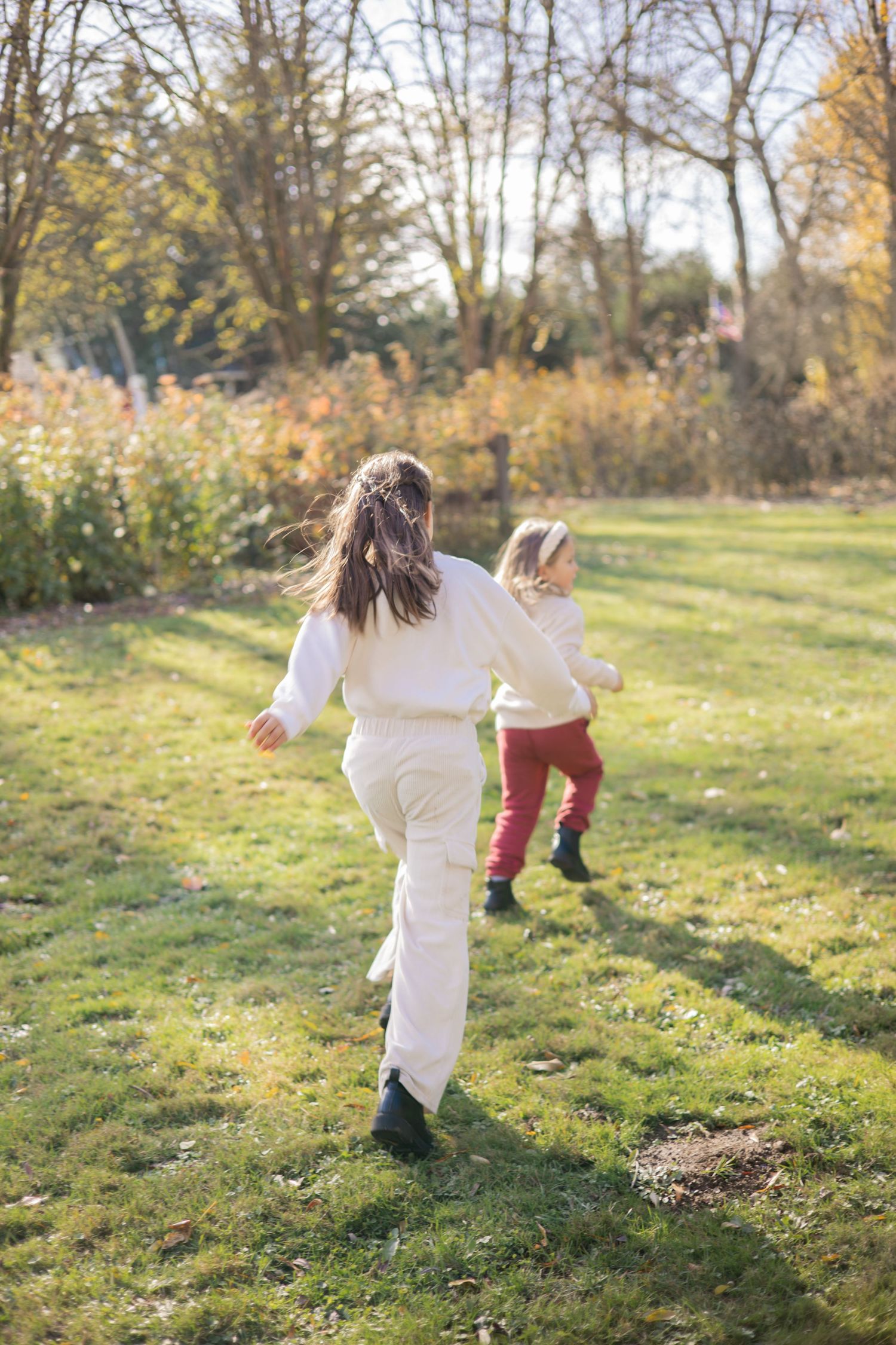Children play and run together on a grassy hill during a sunny autumn afternoon.