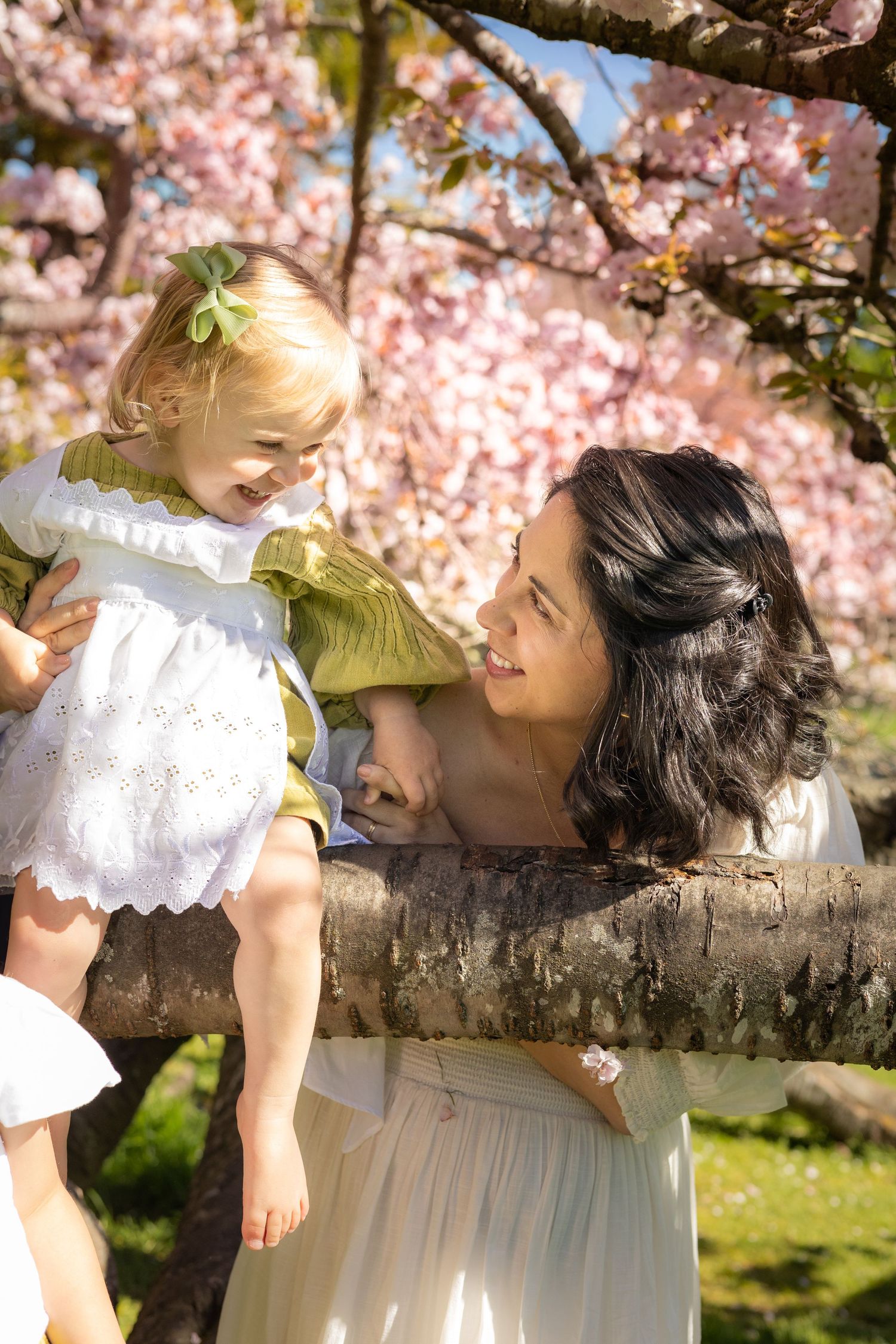 A sequence of romantic moments under blooming cherry blossoms with a couple in white clothing enjoying springtime.
