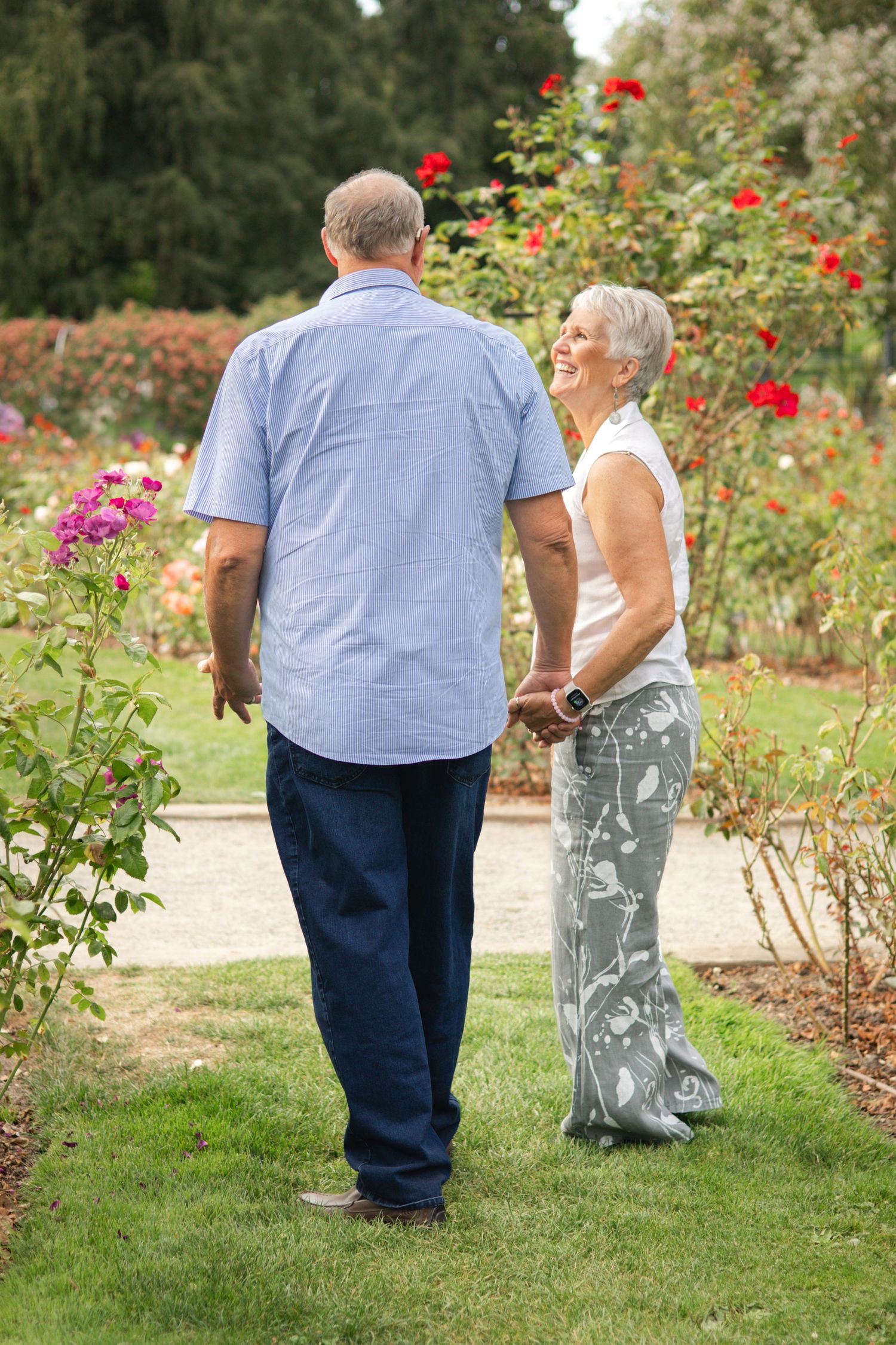 Two people walking together through a blooming rose garden on a sunny summer day.