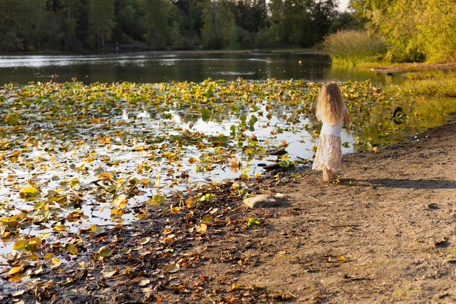 Jess DAgati Photographer Tacoma Gig Harbor Puyallup WA PNW family lifestyle newborn maternity photography Local Outdoor Beach Lake Forest