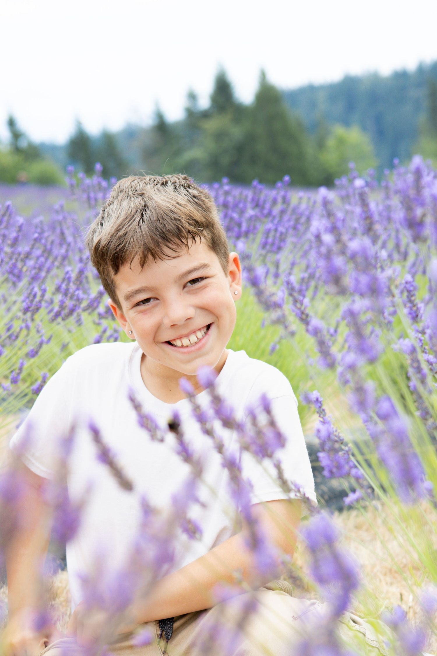 Beautiful purple lavender field in bloom with soft bokeh effect.