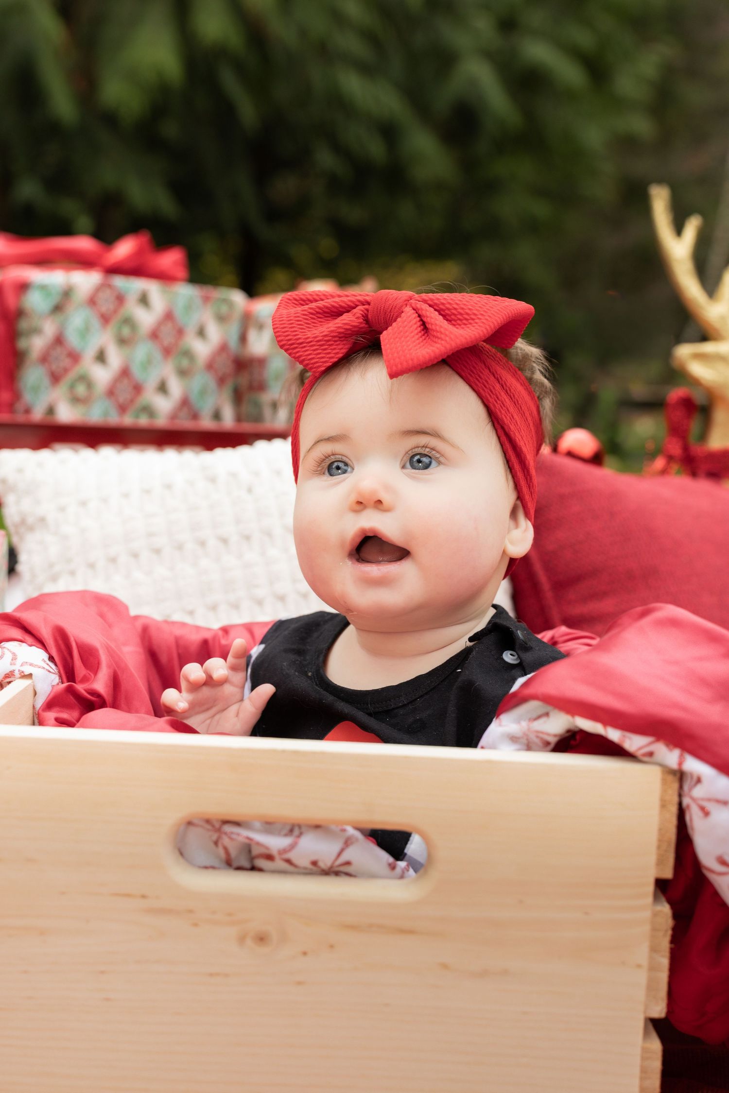 Baby wearing red bow sits in wooden box during Christmas themed photo shoot.