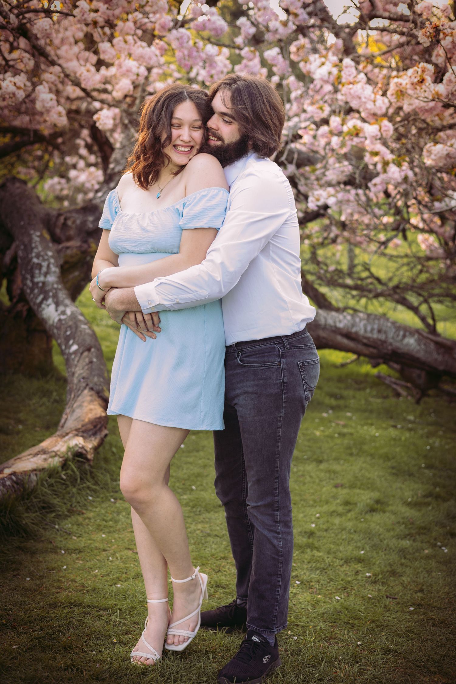A couple embraces under blooming pink cherry blossoms in a romantic springtime photo shoot.
