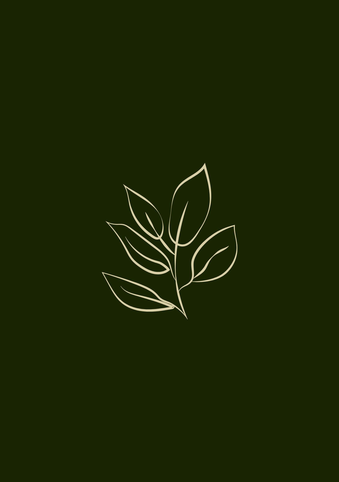 Näkyväksi-yrityspaketti