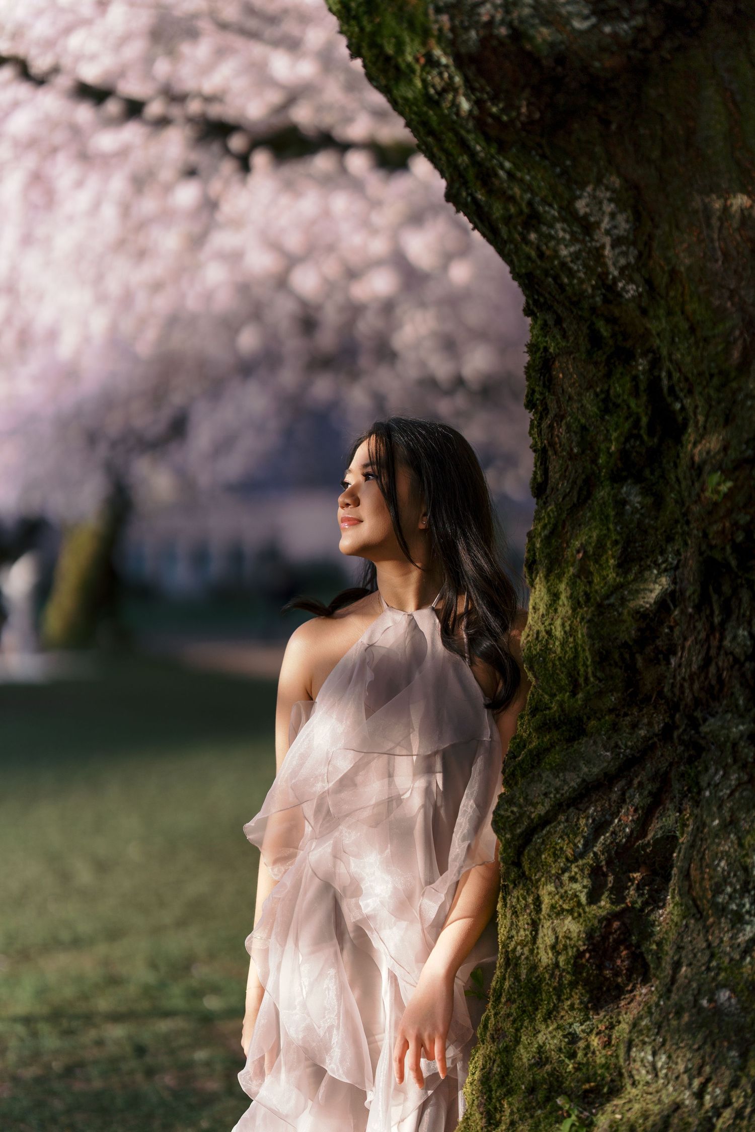 Ethereal figure in flowing pink dress stands beneath blooming cherry blossom trees at dusk.