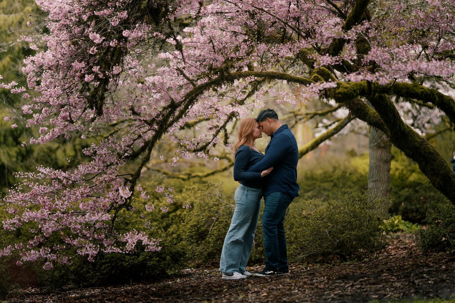 A couple embraces under blooming cherry blossom trees in a romantic spring garden setting.
