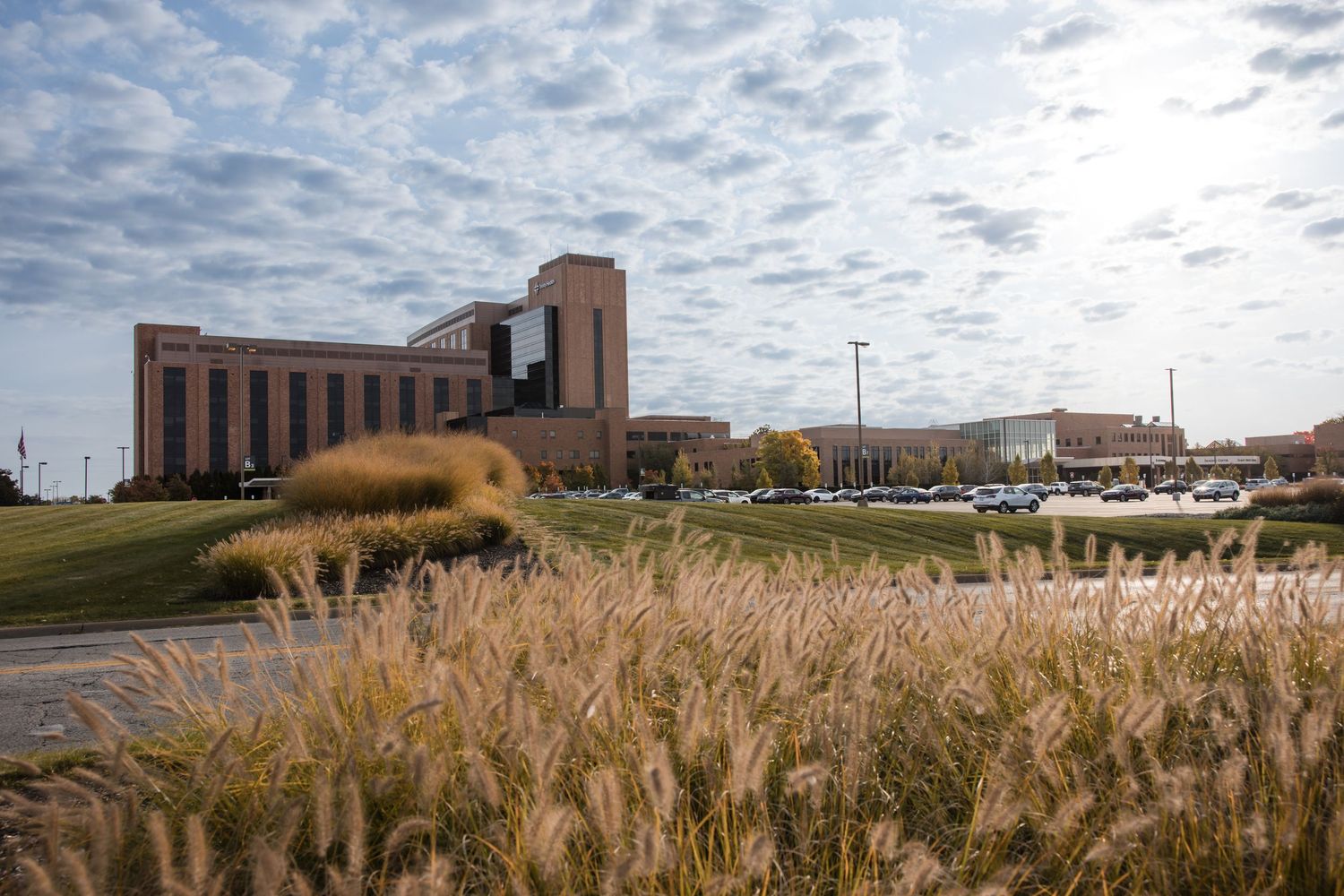 Panoramic view of wheat fields and buildings under dramatic cloudy sky.