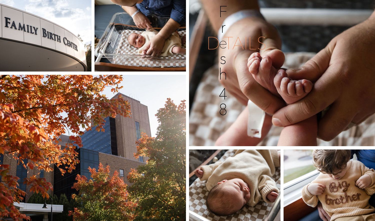 A collage of autumn wedding photos showing hands with rings, fall foliage, and intimate moments during the ceremony.